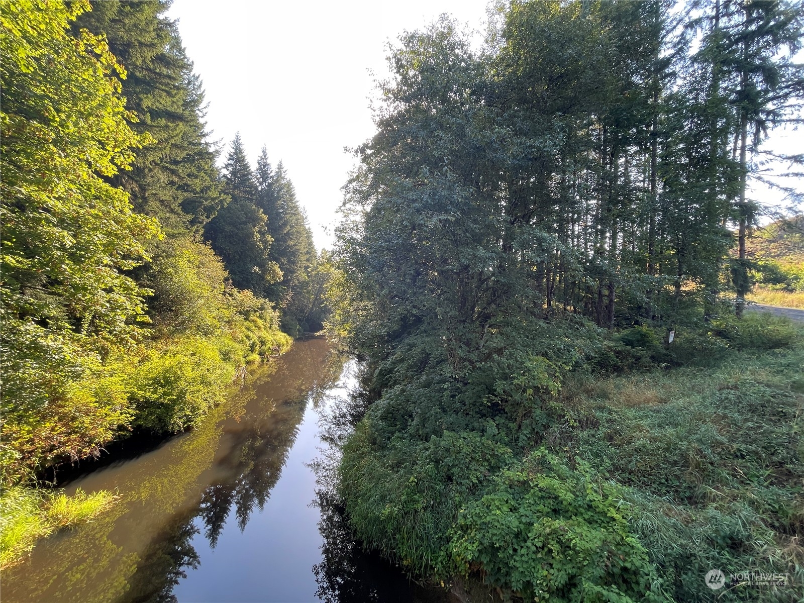 0 Salmon Creek Road, Toledo, Washington, 98591, United States, ,Land,For Sale,0 Salmon Creek Road,1445905