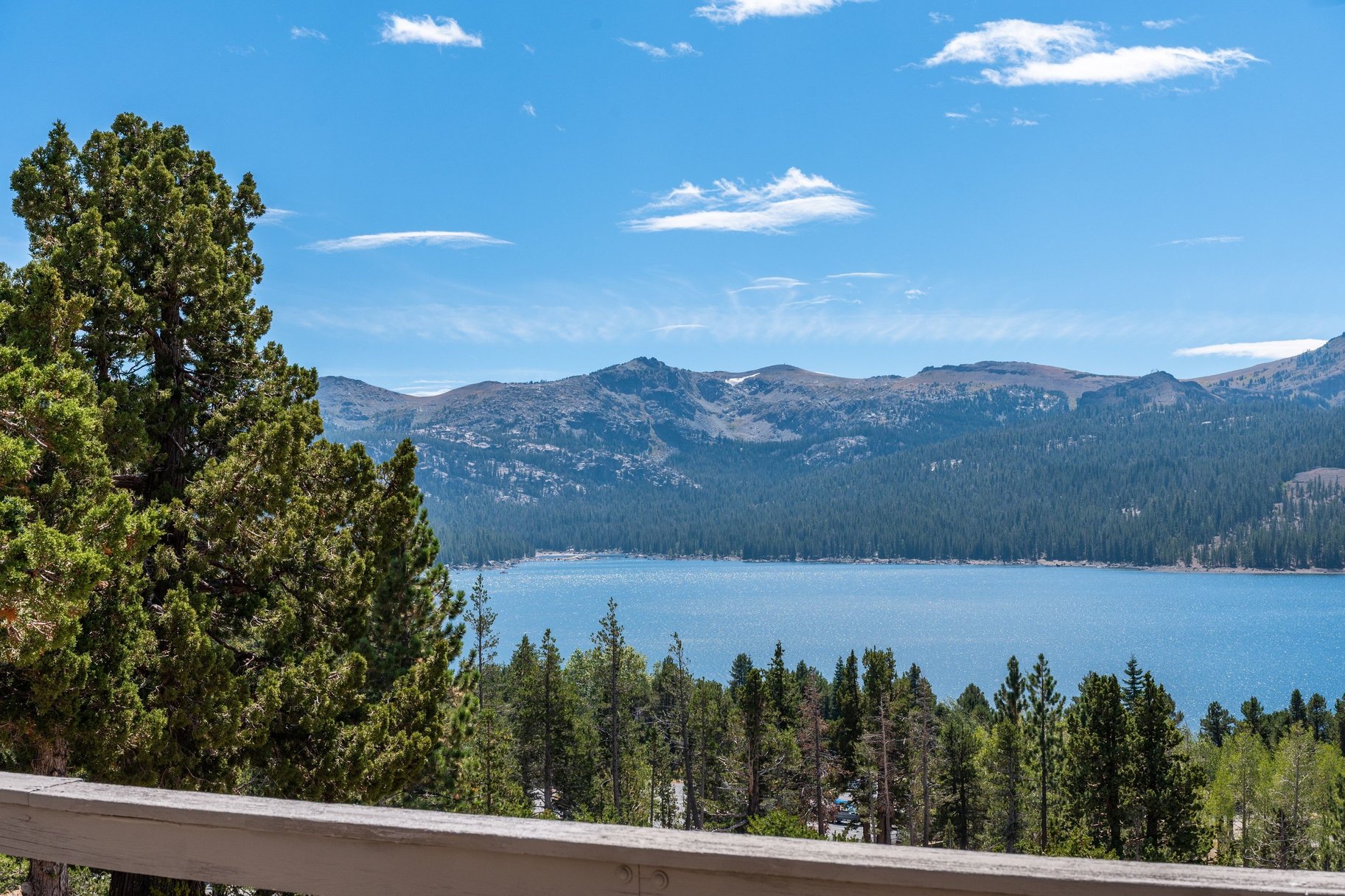  The Juniper Cabin: A Wild Invitation to See the World Differently - 物件實景