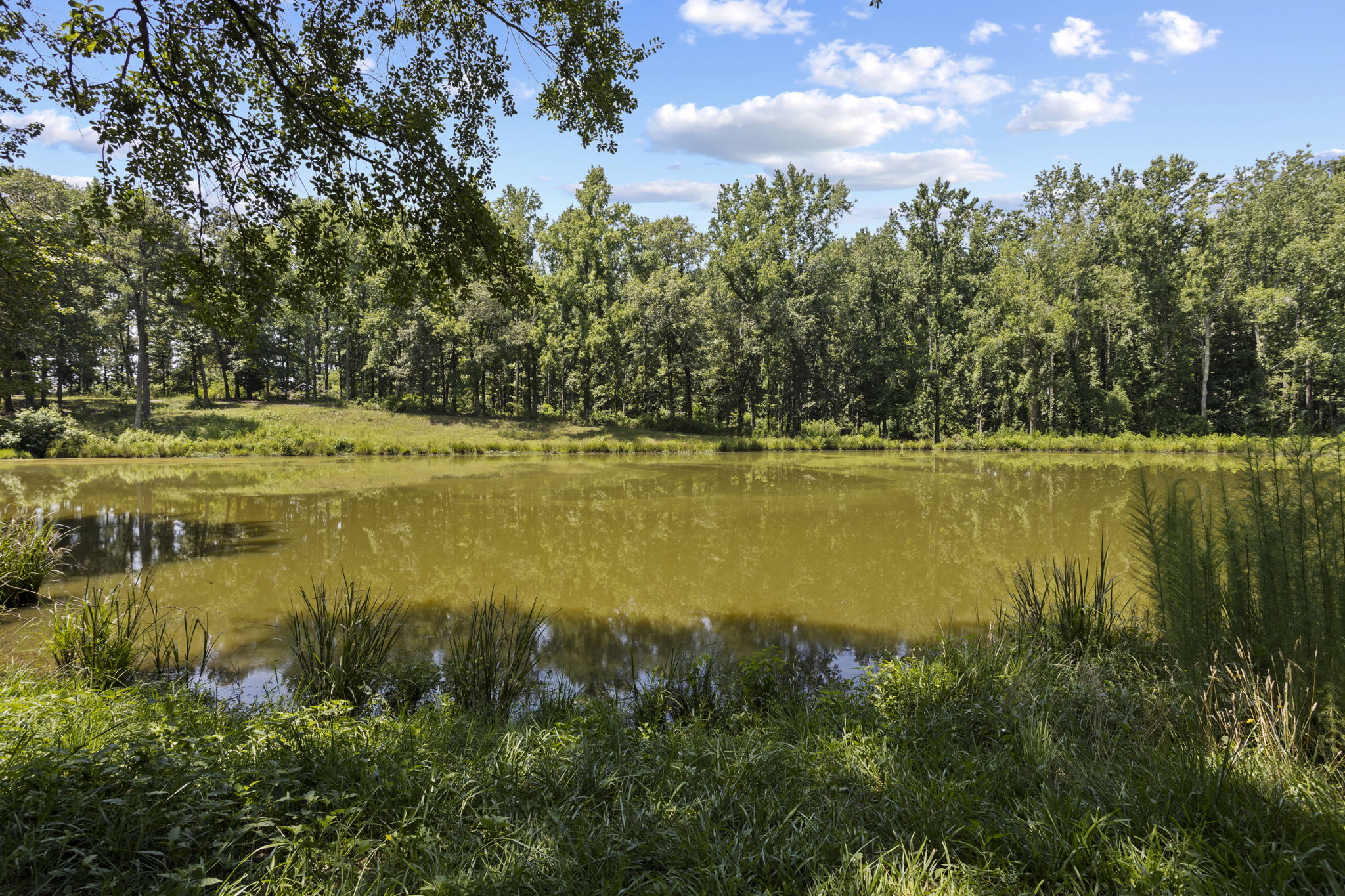  1000 Apple Valley Road, Duncan, SC 29334 - 物件實景