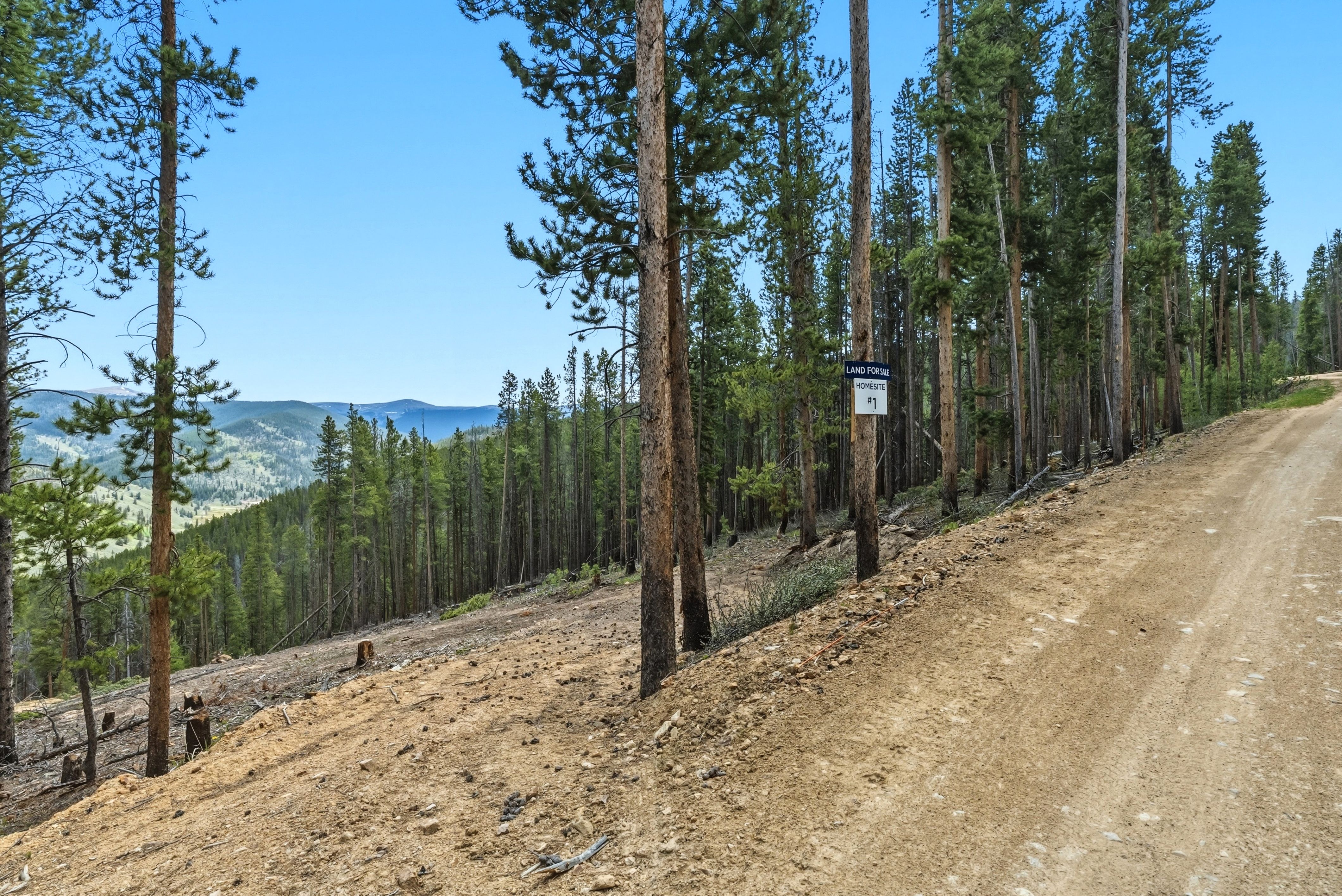  653 Summit Gulch Road, Breckenridge, CO, 80424 - 物件實景