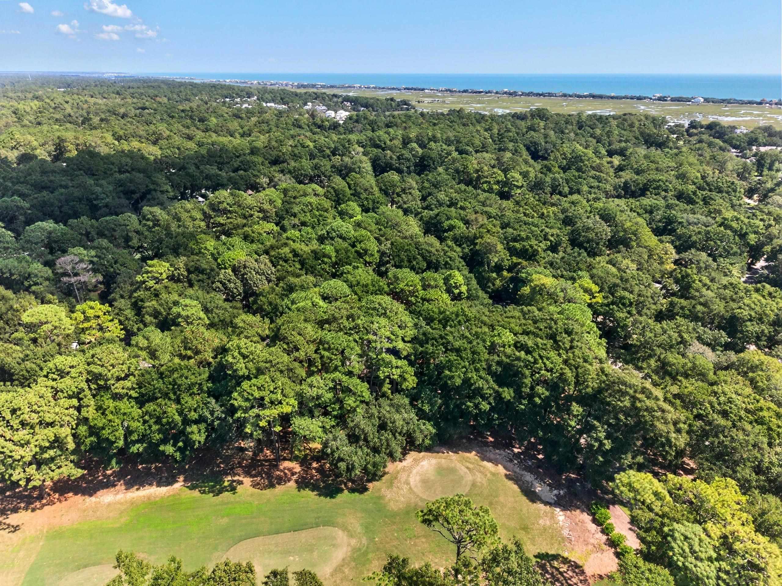  55-1 Weehawka way  Pawleys Plantation in Pawleys Island, SC - 物件實景