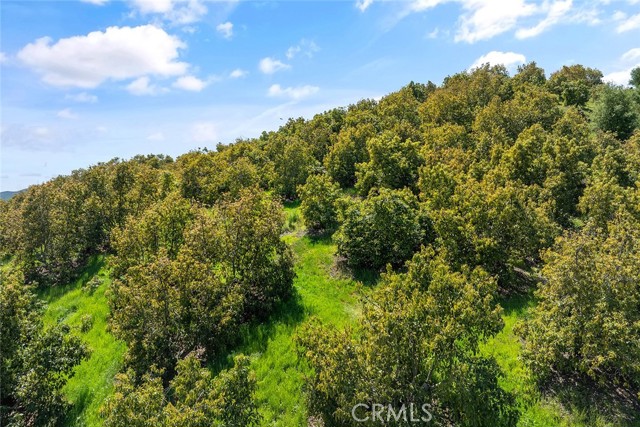 Temecula, California, 92590, United States, ,Land,For Sale,1981678