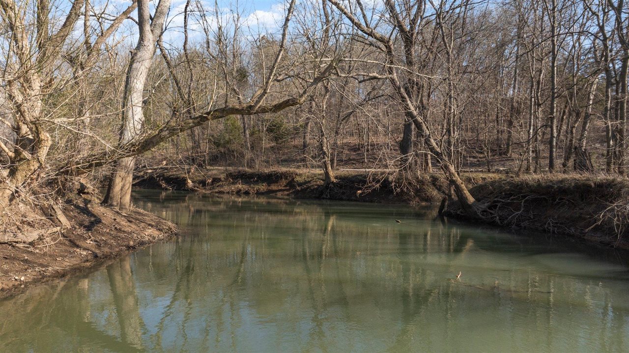 Lewisburg, Kentucky, 42256, United States, ,Land,For Sale,1688645