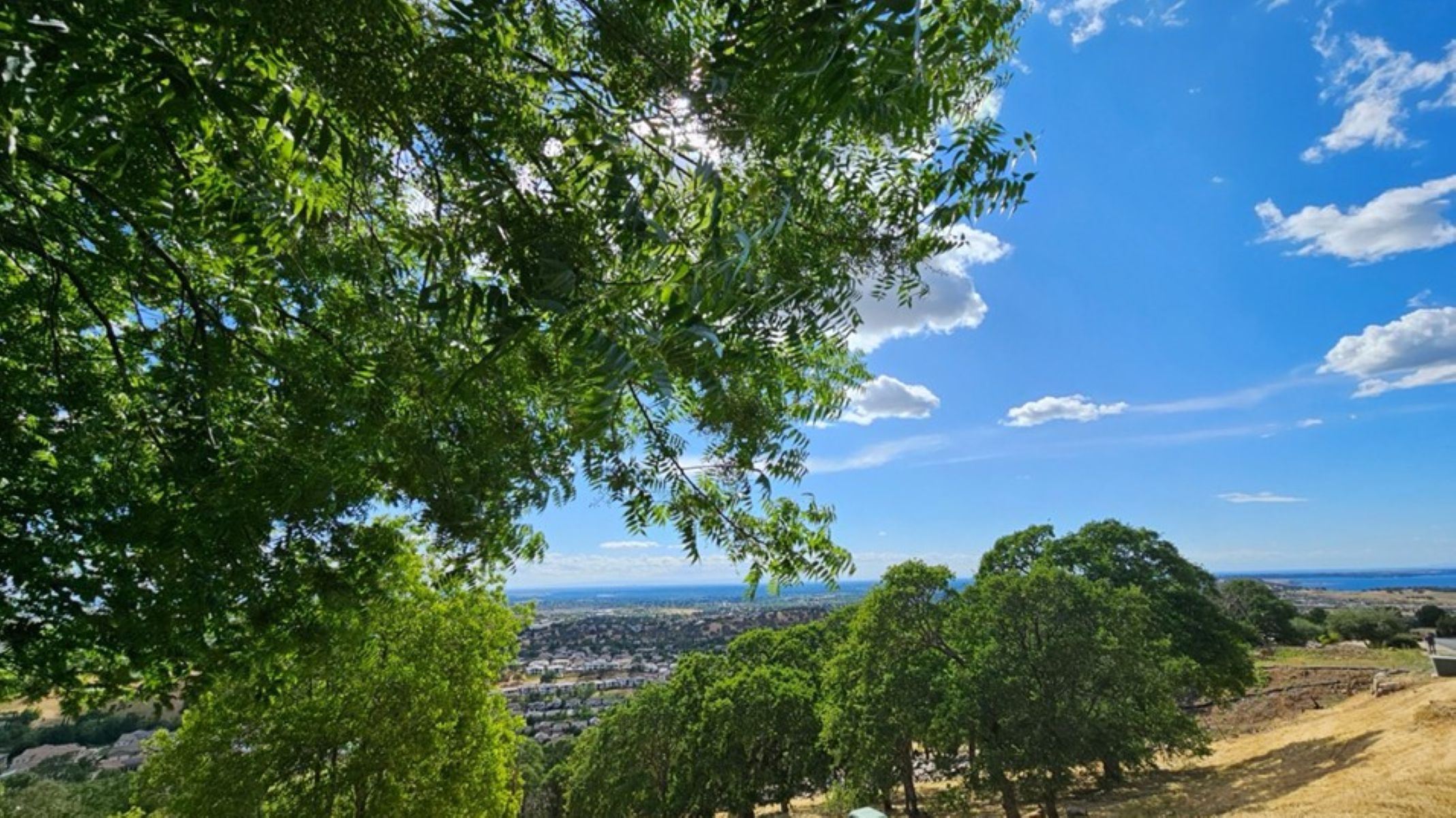  2680 Via Fiori, El Dorado Hills, CA 95762 - 物件實景
