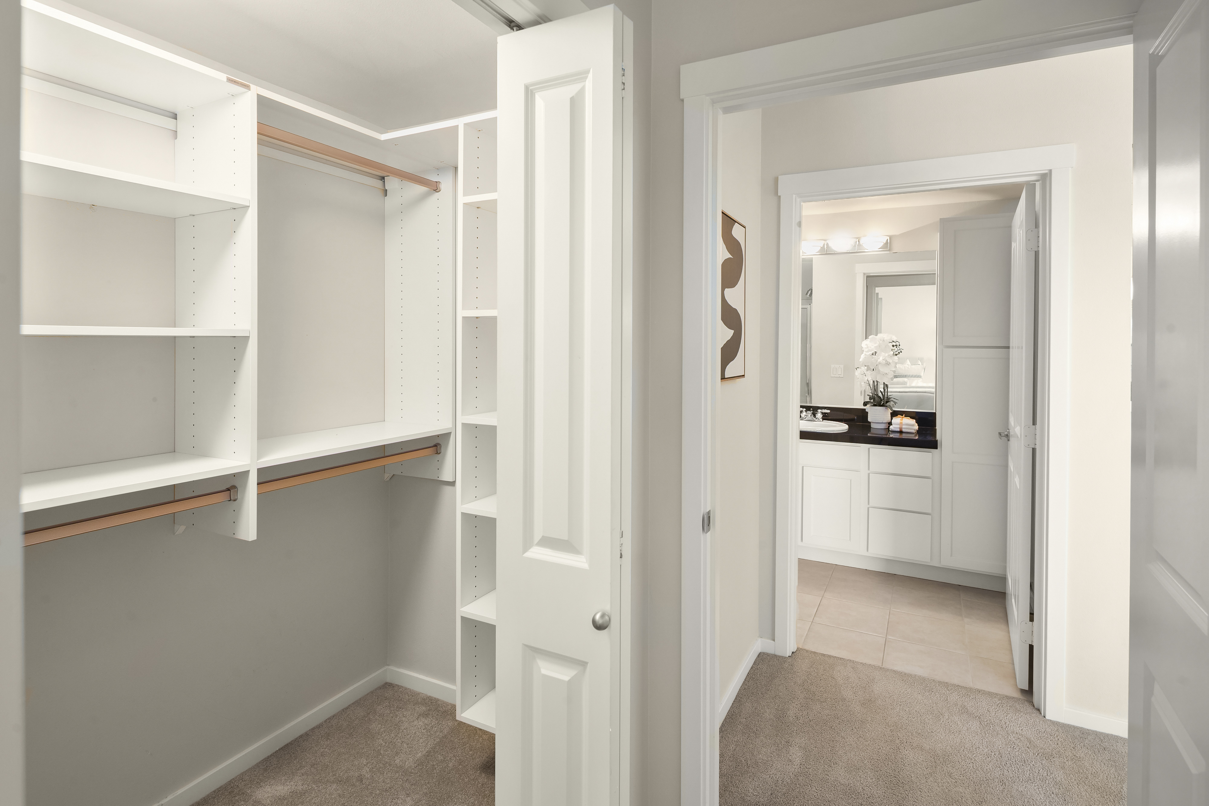  2901 NE Blakeley St Unit #409, Seattle, WA 98105 - 物件實景