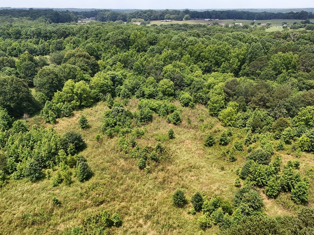 Jefferson, Georgia, 30549, United States, ,Land,For Sale,1941783
