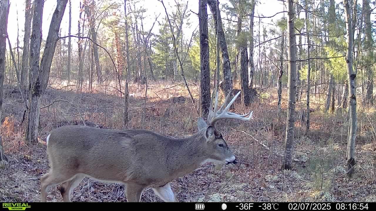 Warrens, Wisconsin, 54666, United States, 4 Bedrooms Bedrooms, ,3 BathroomsBathrooms,Residential,For Sale,1975252