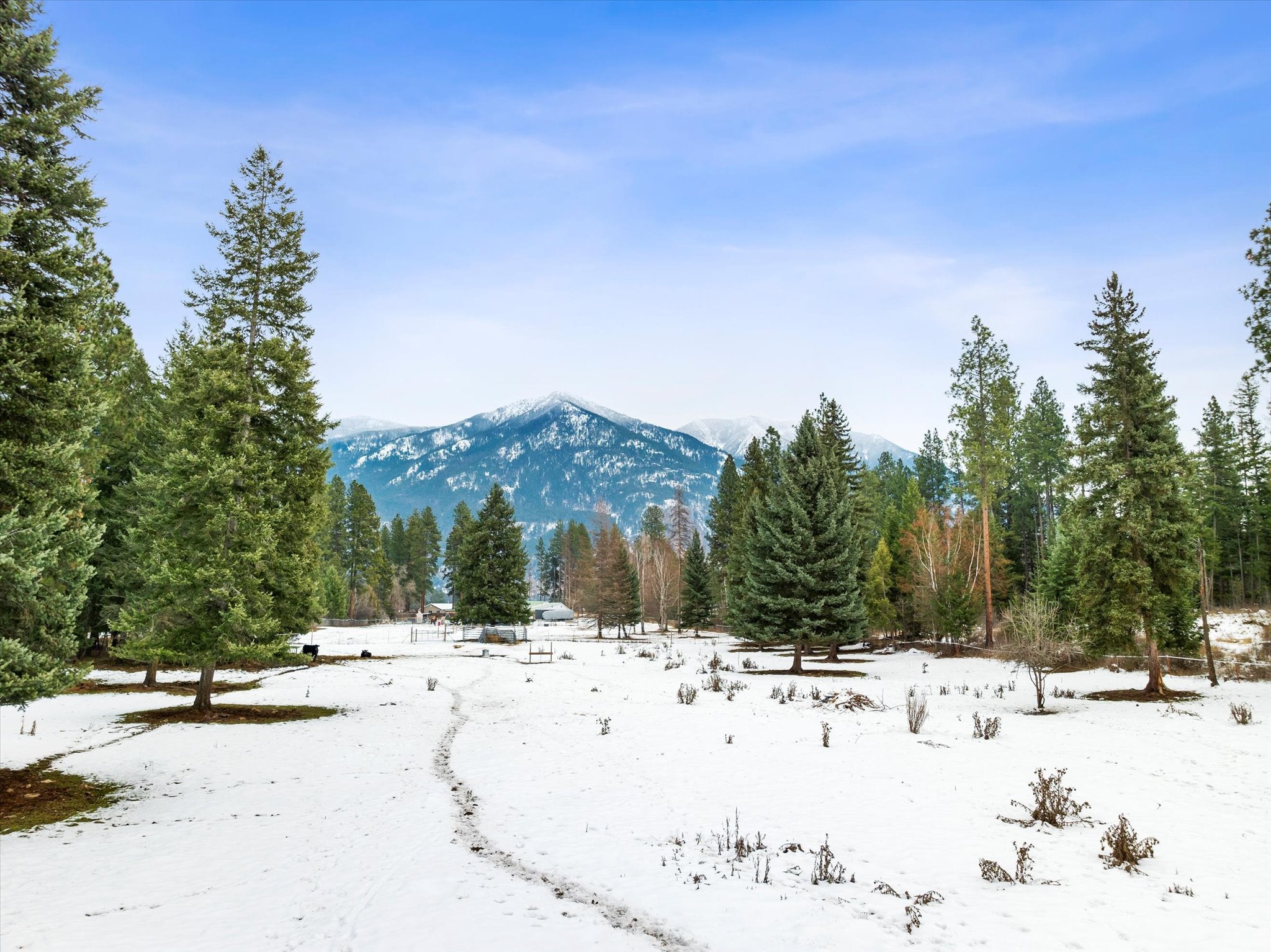 1985 Mt Highway 206, Columbia Falls, Montana, 59912, United States, 3 Bedrooms Bedrooms, ,1 BathroomBathrooms,Residential,For Sale,1985 Mt Highway 206,1672073