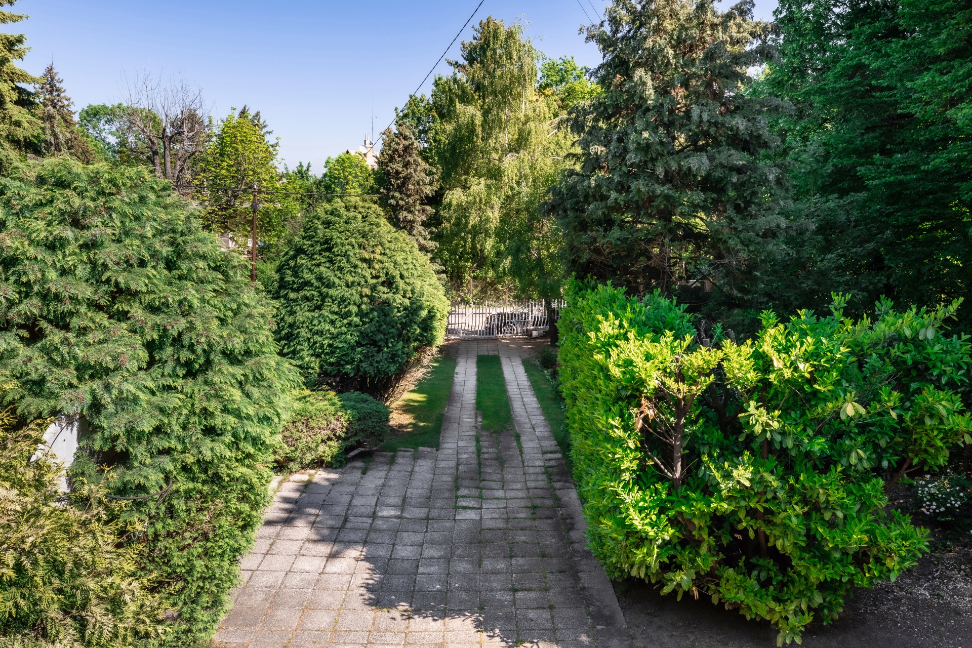  Prestigious Semi-Detached Villa with Pool in Budapest’s Exclusive Buda Hills - 物件實景