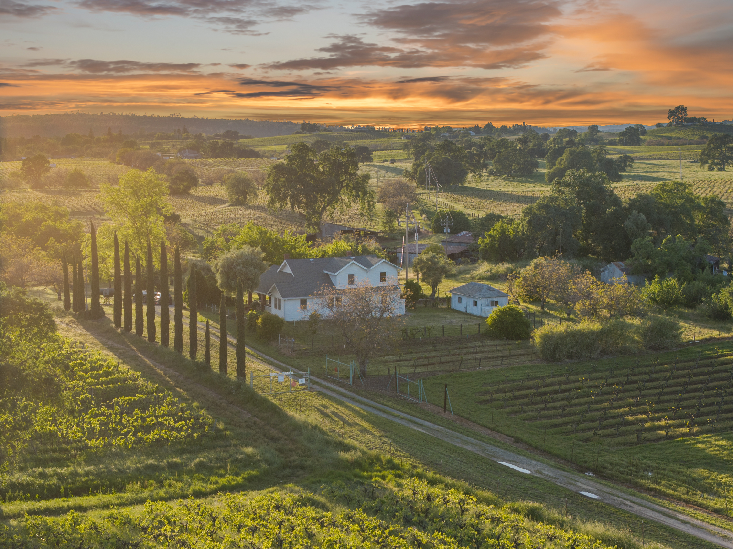  107 Acres - Seasonal Creek - Legacy - 物件實景
