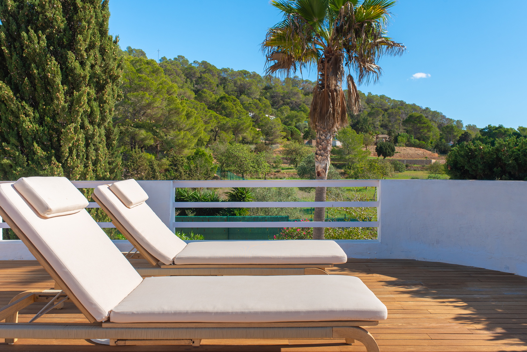  Ibizan Villa in Cala Jondal, Ibiza - 物件實景