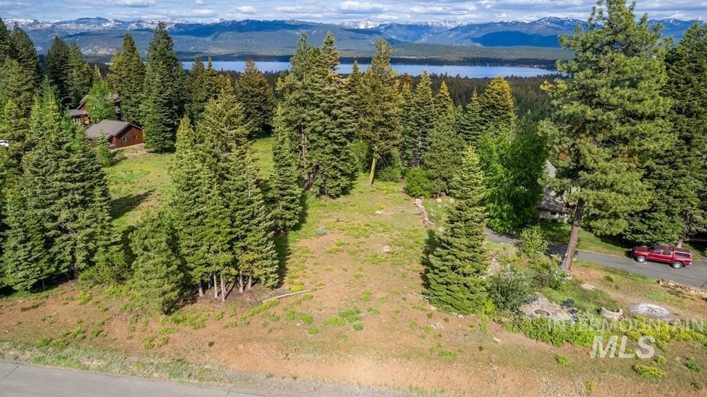 McCall, Idaho, 83638, United States, ,Land,For Sale,1983589