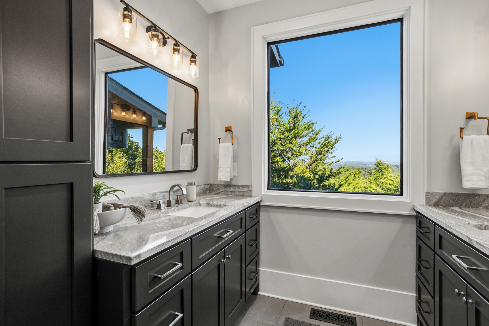  101 Frangipani Way, Greenville, SC 29609 - 物件實景