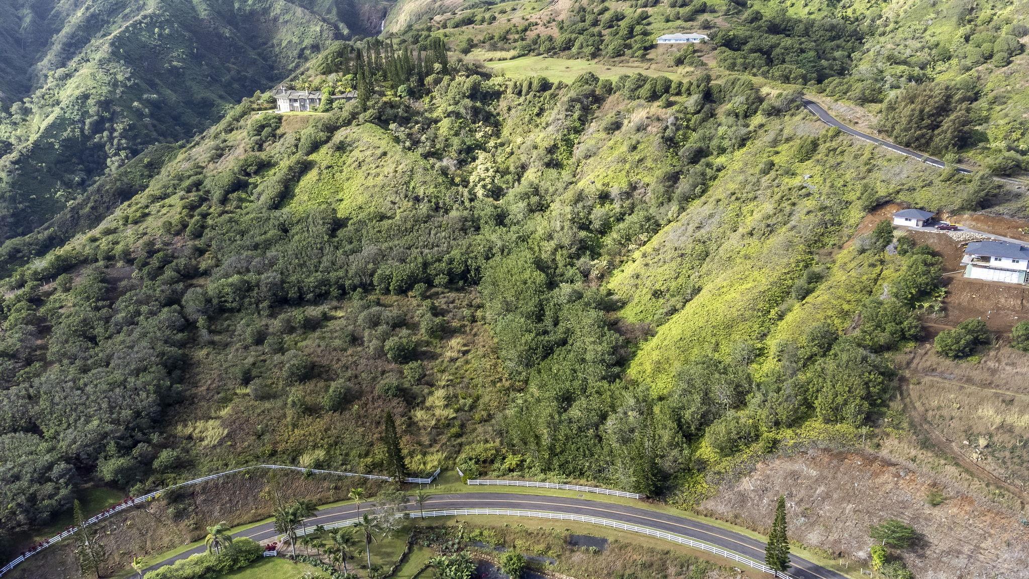 63 Lahaole Pl, Wailuku, Hawaii, 96793, United States, ,Land,For Sale,63 Lahaole Pl,1676772