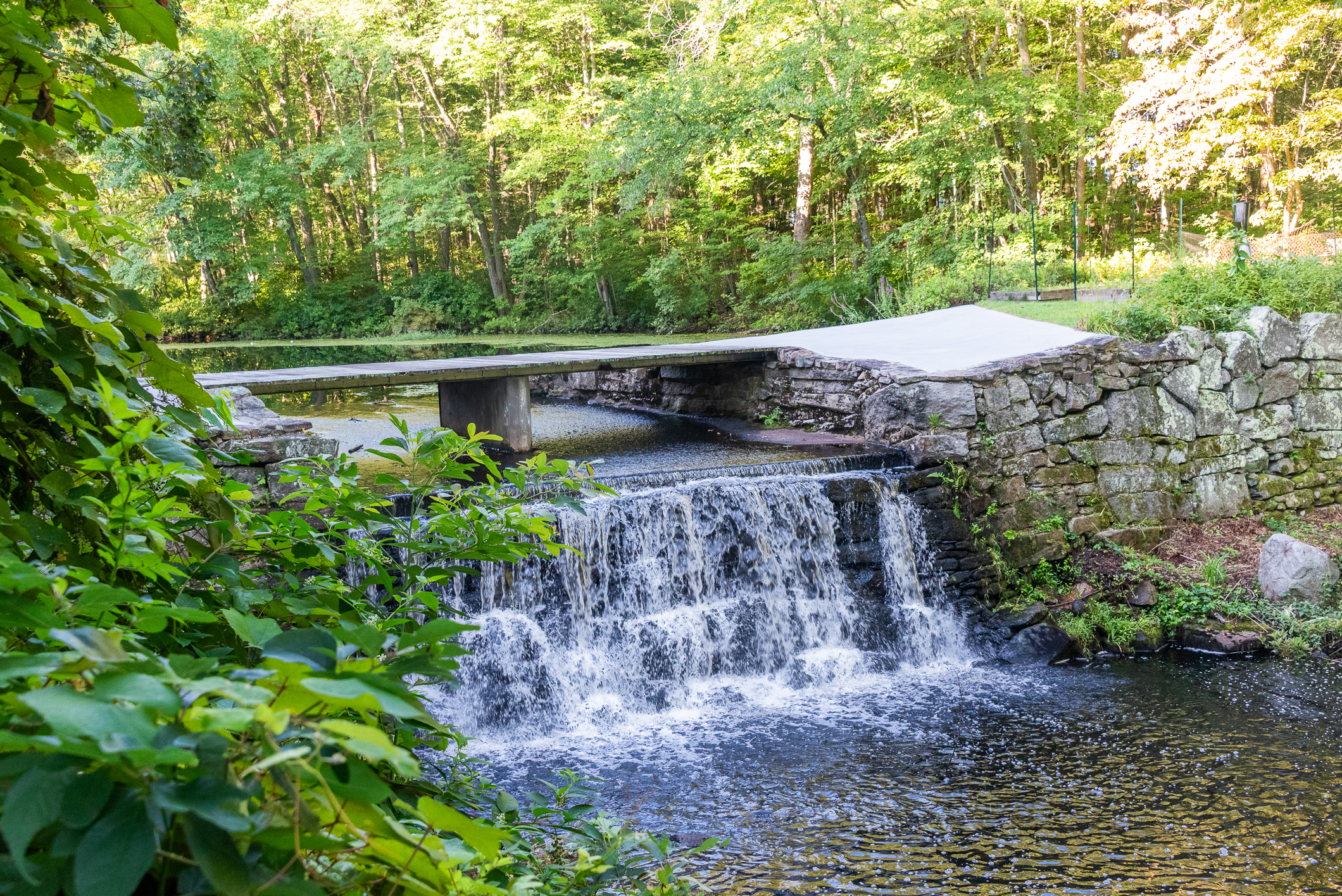  Secluded Country Oasis Nestled on 13 Acres of Privacy - 物件實景