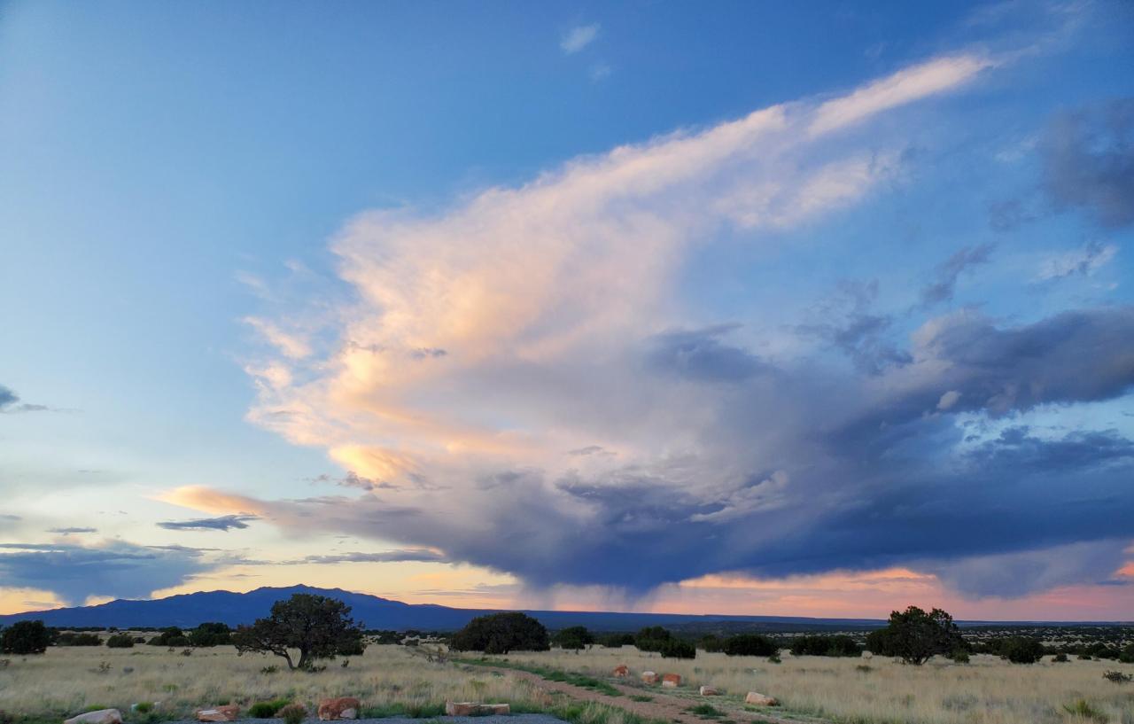 337 Scholle Road, Mountainair, New Mexico, 87036, United States, 3 Bedrooms Bedrooms, ,3 BathroomsBathrooms,Residential,For Sale,337 Scholle Road,1459491