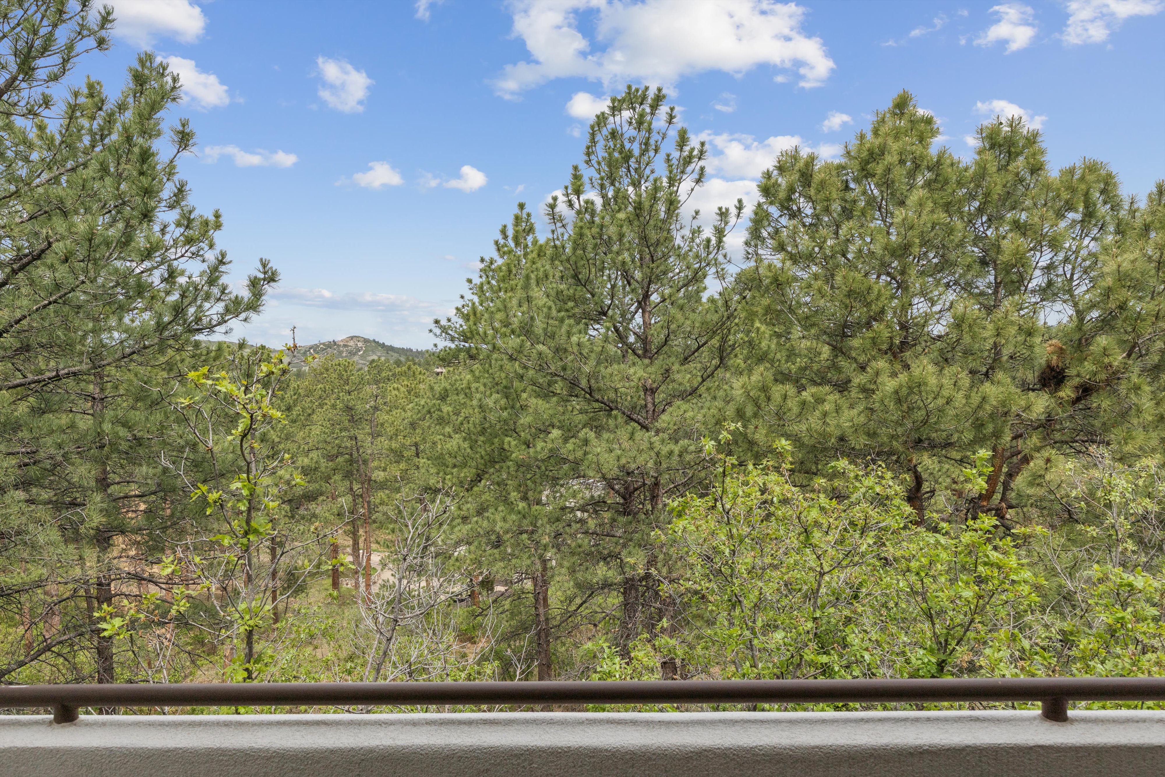  Remodeled 4 Bed 6 Bath Residence Offering Mountain, Sunset Views & Privacy - 物件實景