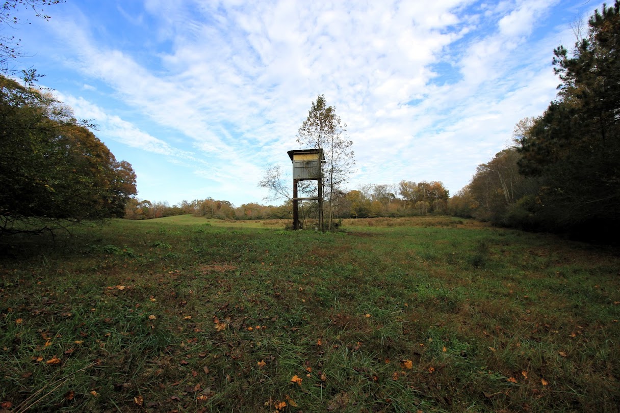 Bowdon, Georgia, 30108, United States, ,Land,For Sale,1989904