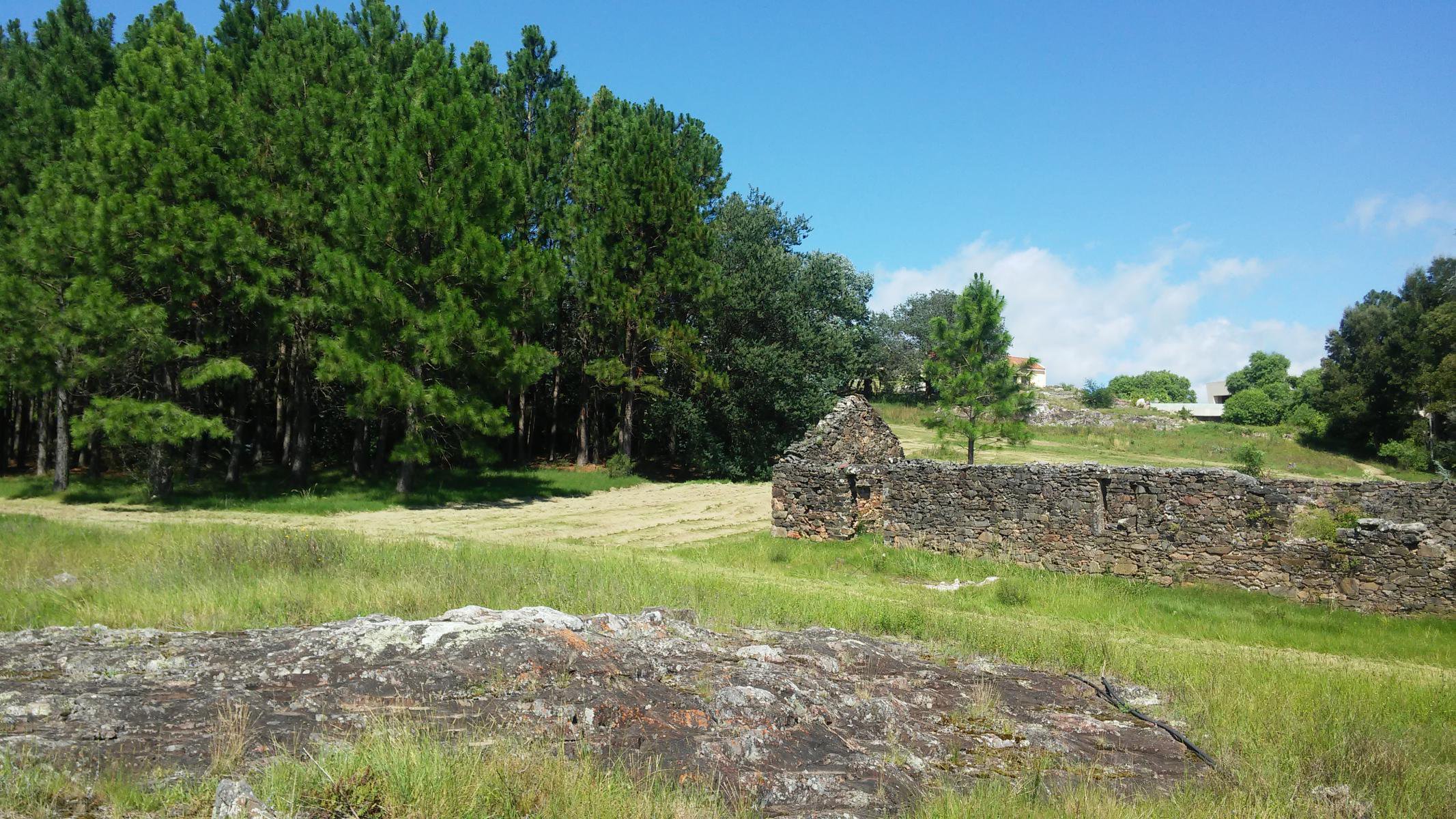  Excellent property in Laguna del Sauce. - 物件實景