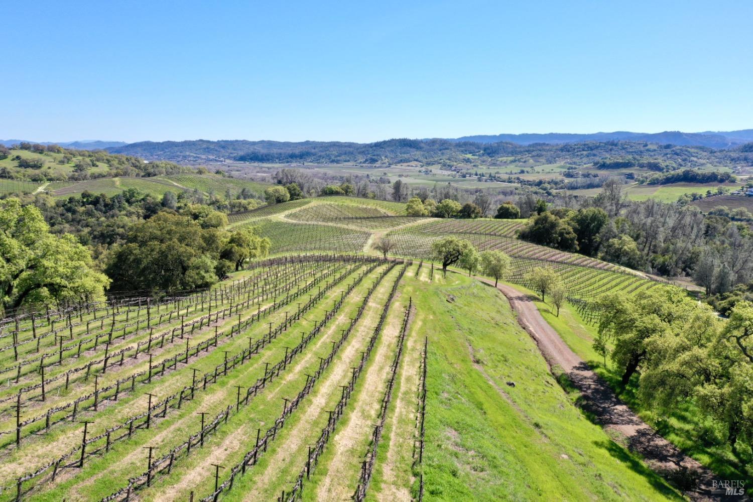 Cloverdale, California, 95425, United States, 5 Bedrooms Bedrooms, ,5 BathroomsBathrooms,Residential,For Sale,1759747