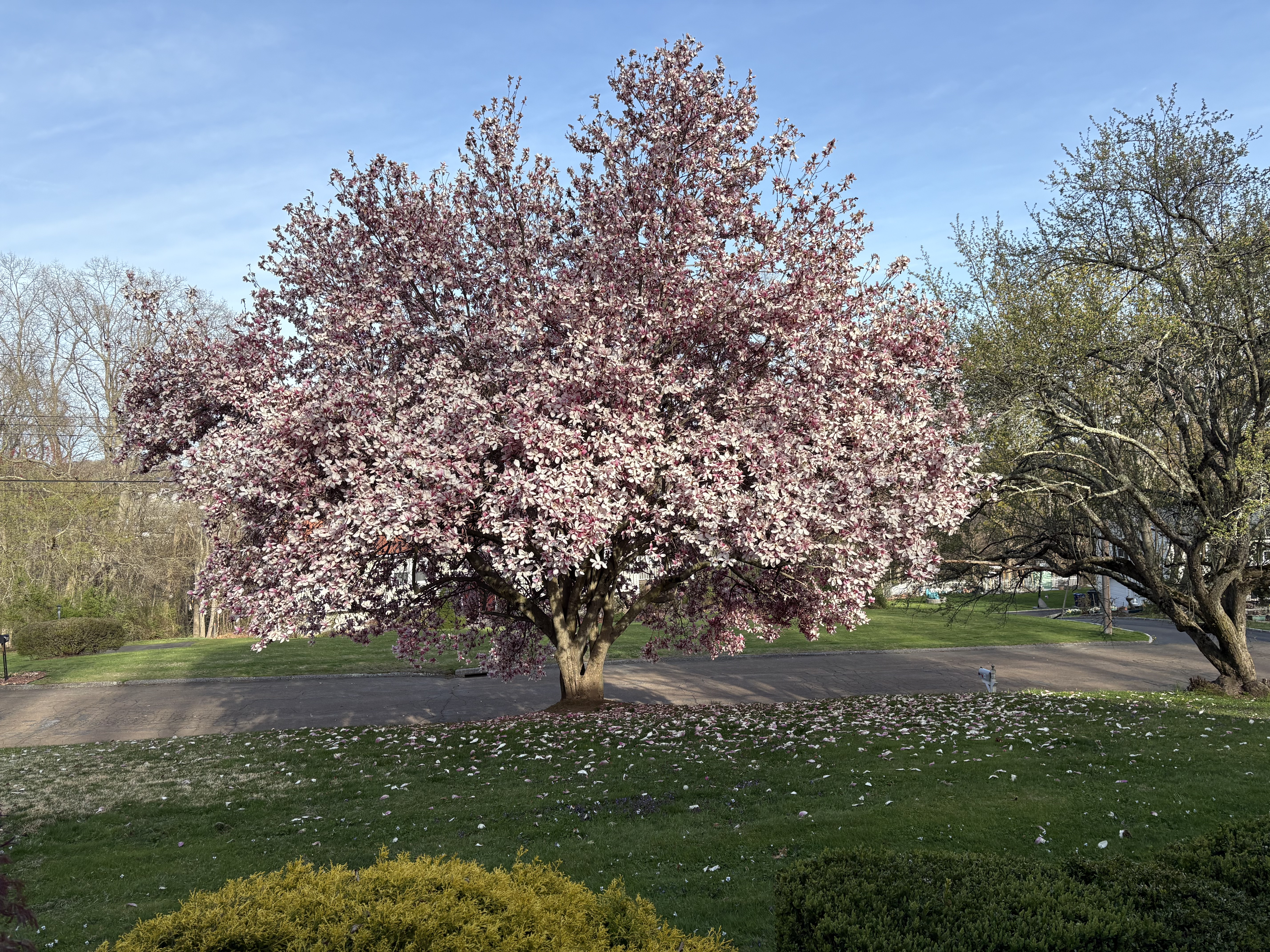  Peaceful Raised Ranch on Cul-de-sac - 物件實景