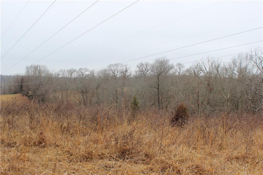 Rogers, Arkansas, 72756, United States, ,Land,For Sale,1966803