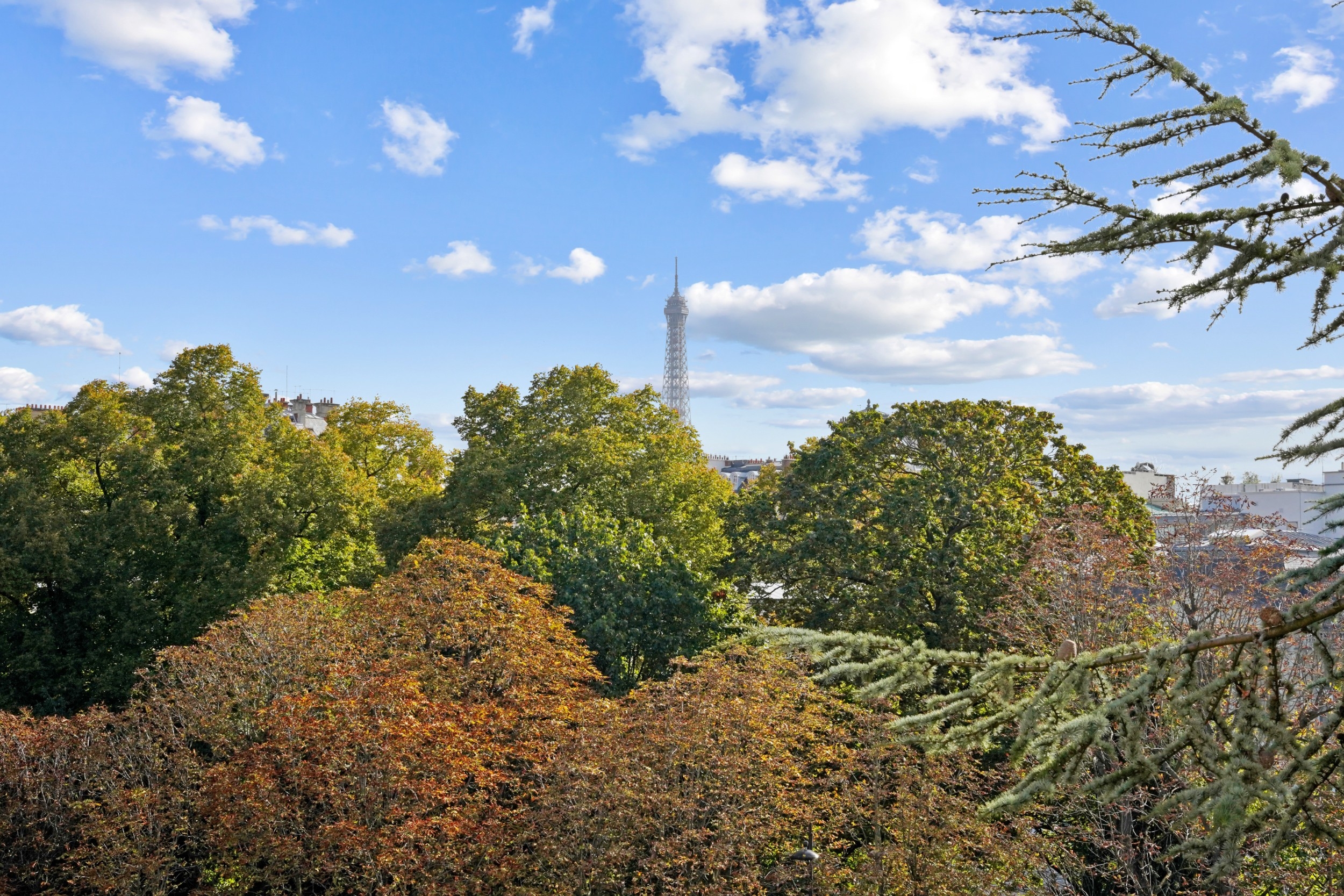  Nice family and reception apartment enjoying unobstructed views onto the Eiffel… - 物件實景