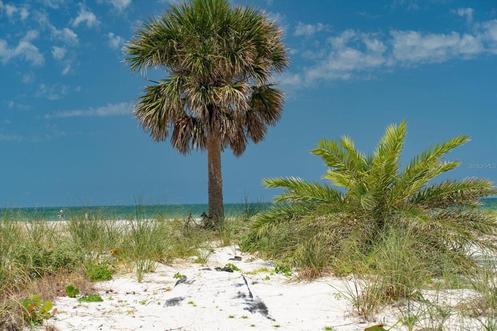 Clearwater Beach, Florida, 33767, United States, ,Land,For Sale,1838307