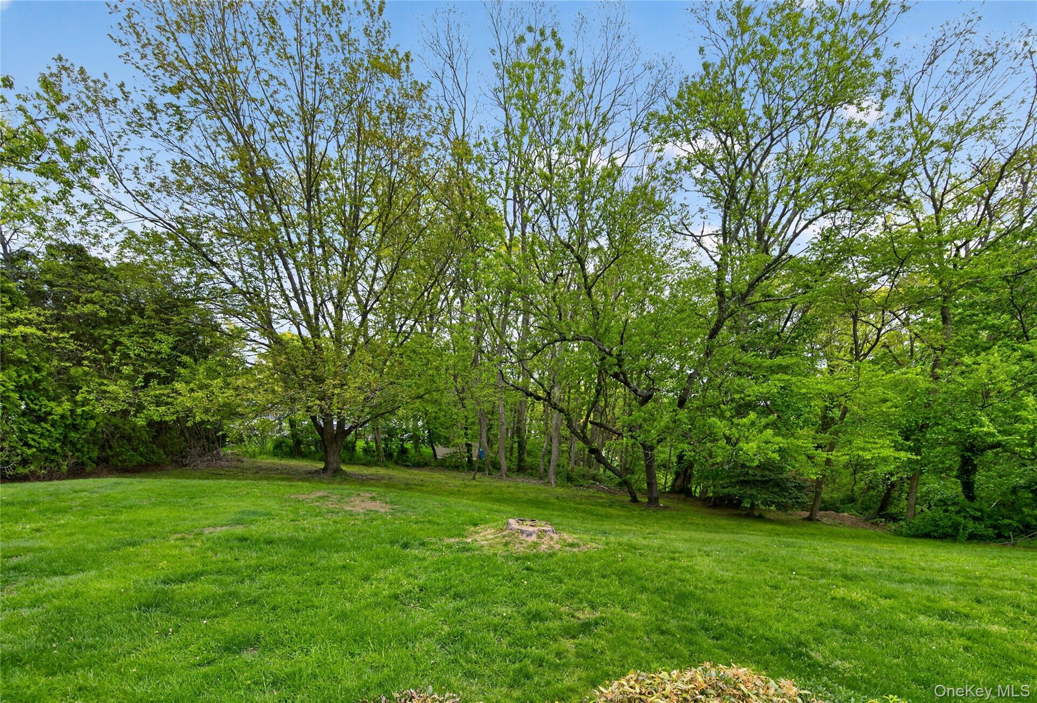  24 Thorngrove Lane, Dix Hills, NY, 11746 - 物件實景