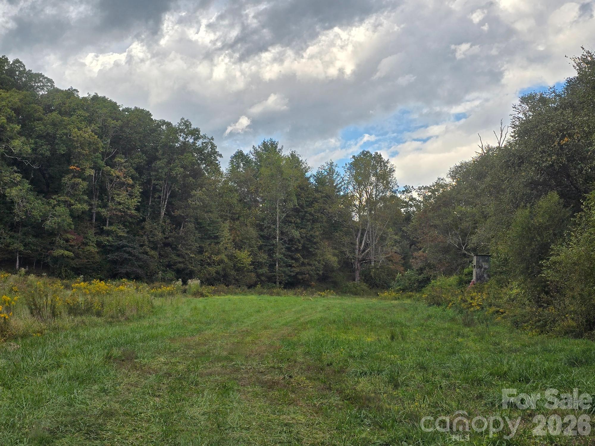 Mills River, North Carolina, 28759, United States, 3 Bedrooms Bedrooms, ,2 BathroomsBathrooms,Residential,For Sale,2048176