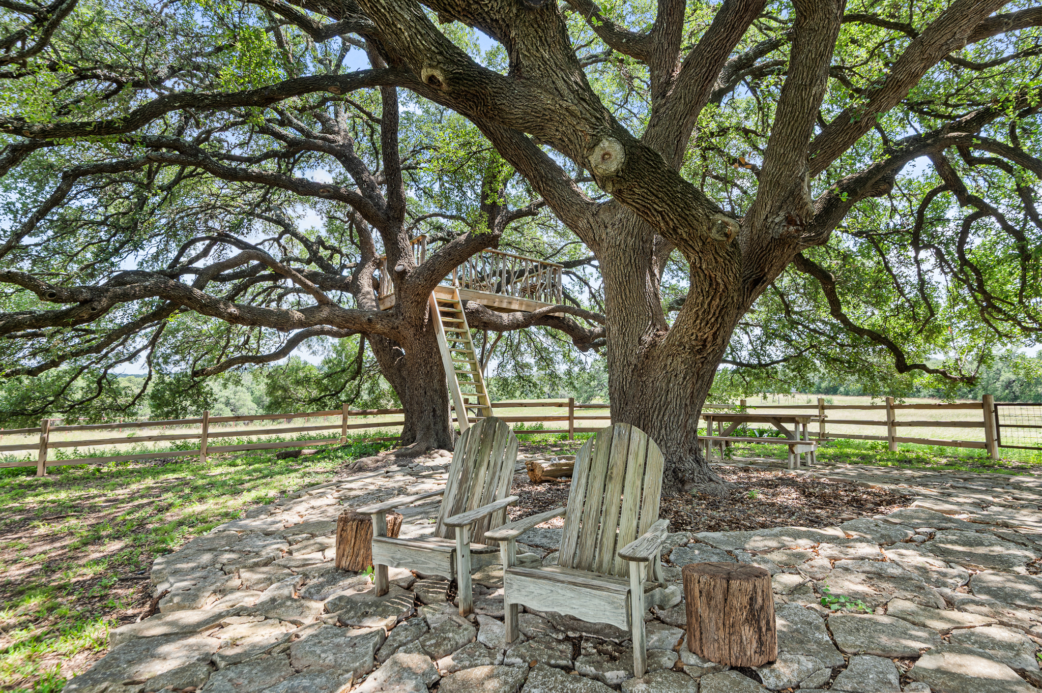  Otra Vez Ranch - Heart of the Hill Country - 物件實景