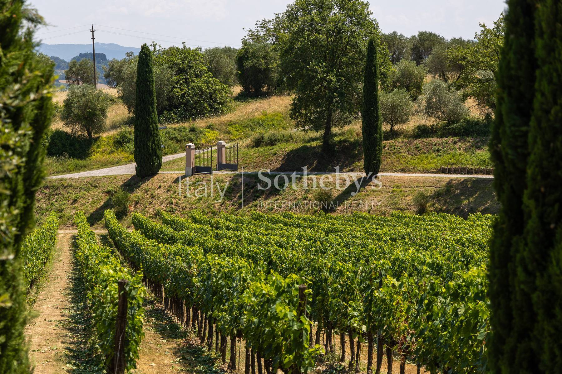  Luxury Wine Estate with Winery & Resort in Tuscany - 物件實景