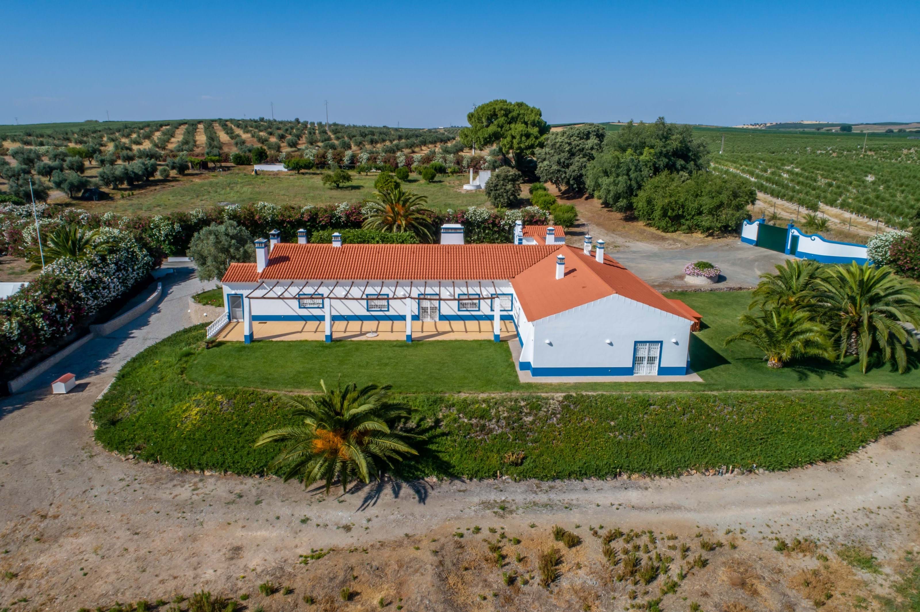 Ferreira do Alentejo, Beja, 7900-110, PT, 10 Bedrooms Bedrooms, ,11 BathroomsBathrooms,Residential,For Sale,1698854