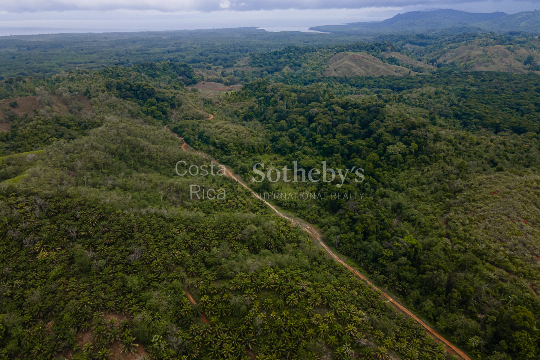  Ocean and River Views in Pristine South Costa Rica - 物件實景