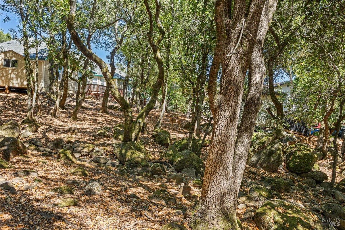 Santa Rosa, California, 95404, United States, ,Residential,For Sale,1921848