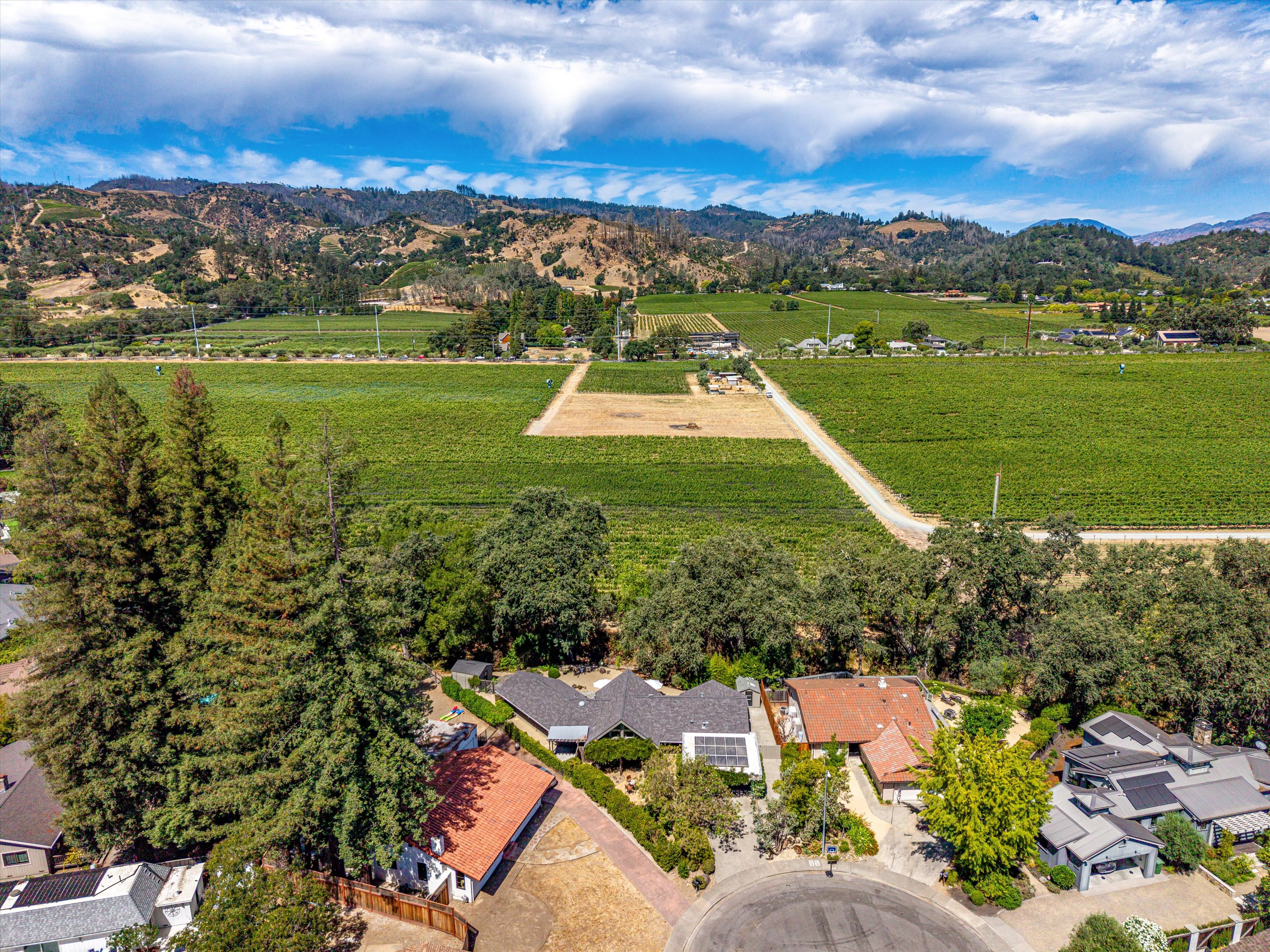  1261 Spring Brook Ct - 物件實景