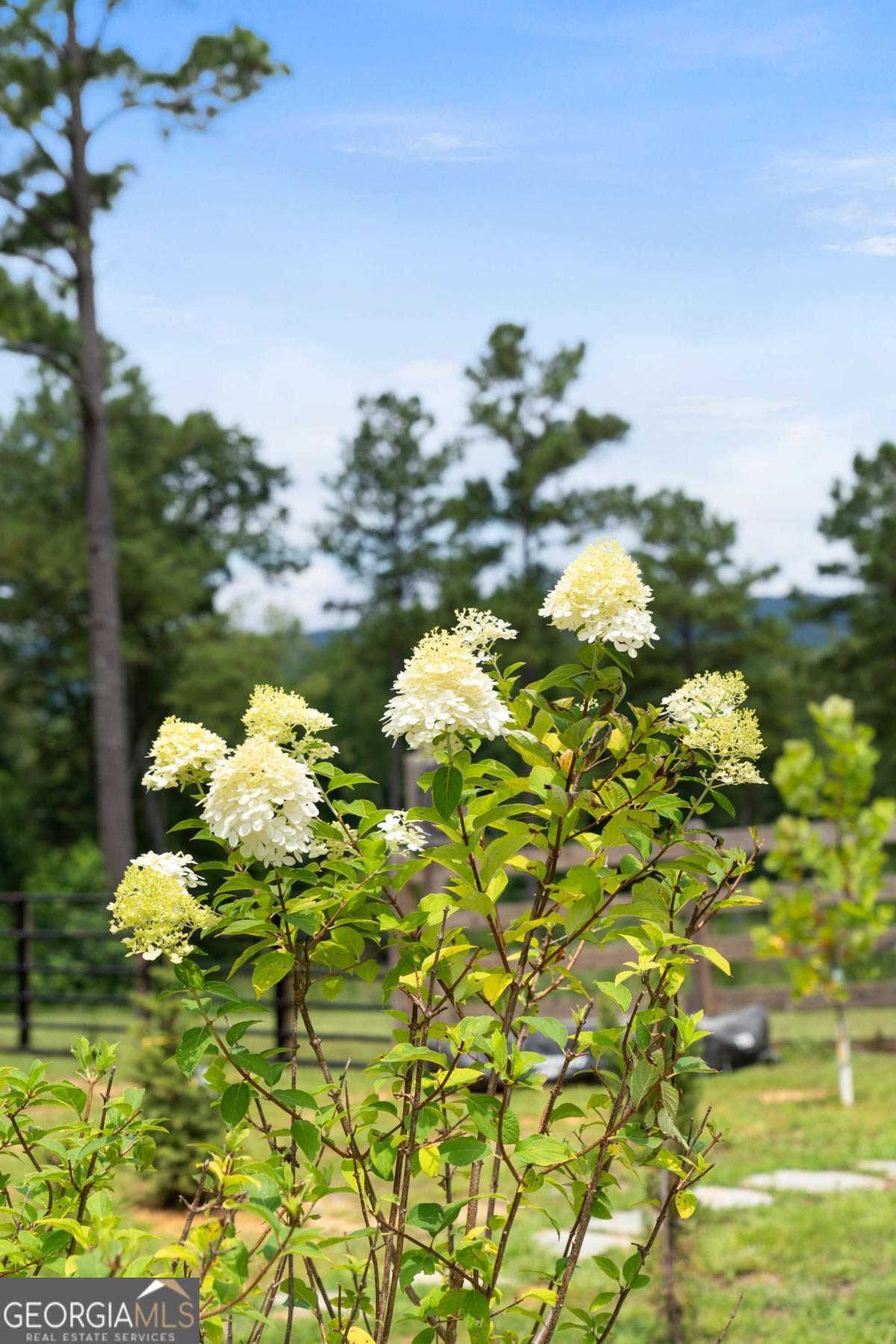 Rome, Georgia, 30165, United States, ,Land,For Sale,1890078
