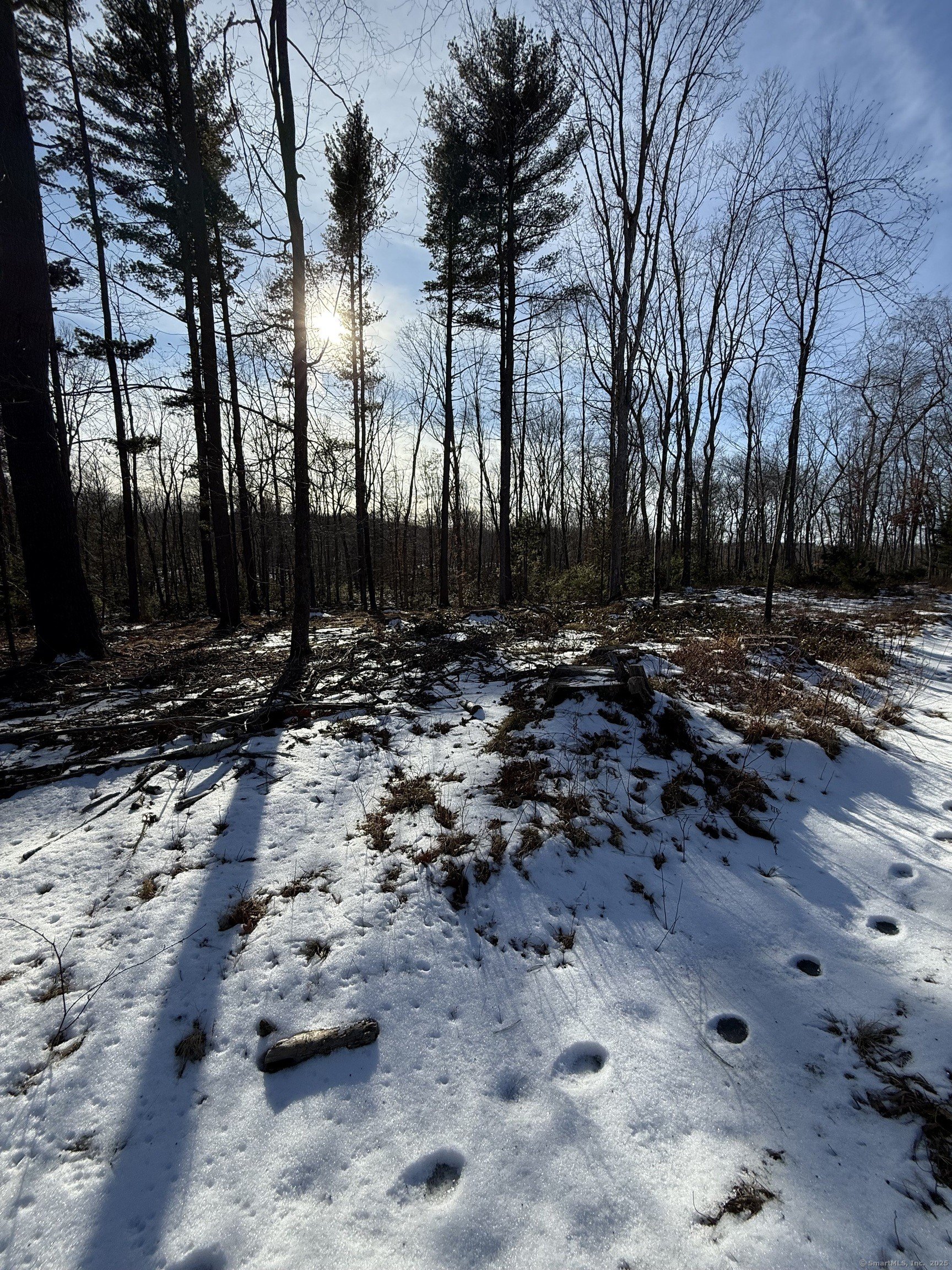 Burlington, Connecticut, 06013, United States, ,Land,For Sale,1982726