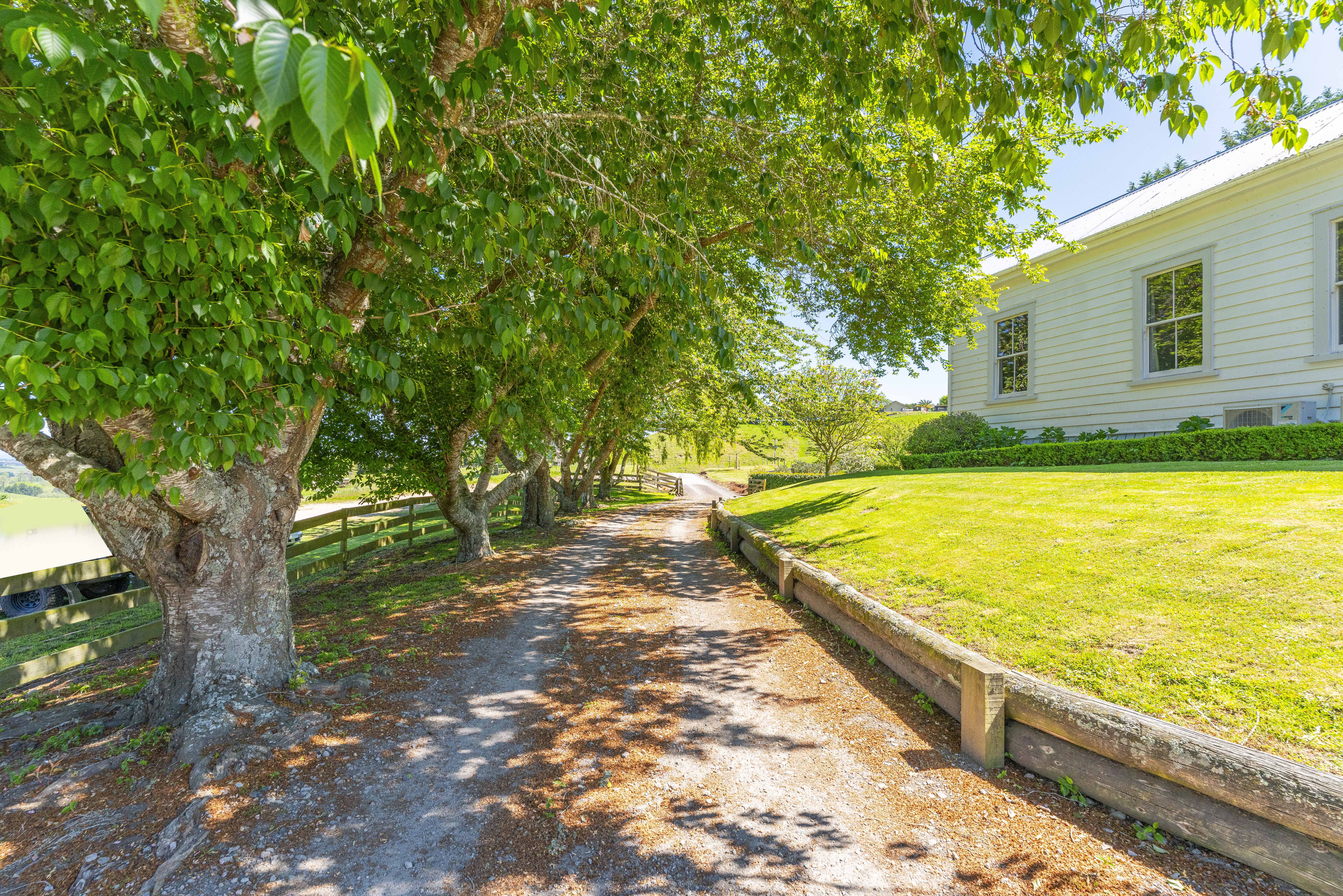  93 Oak Drive, Wairakei - 物件實景