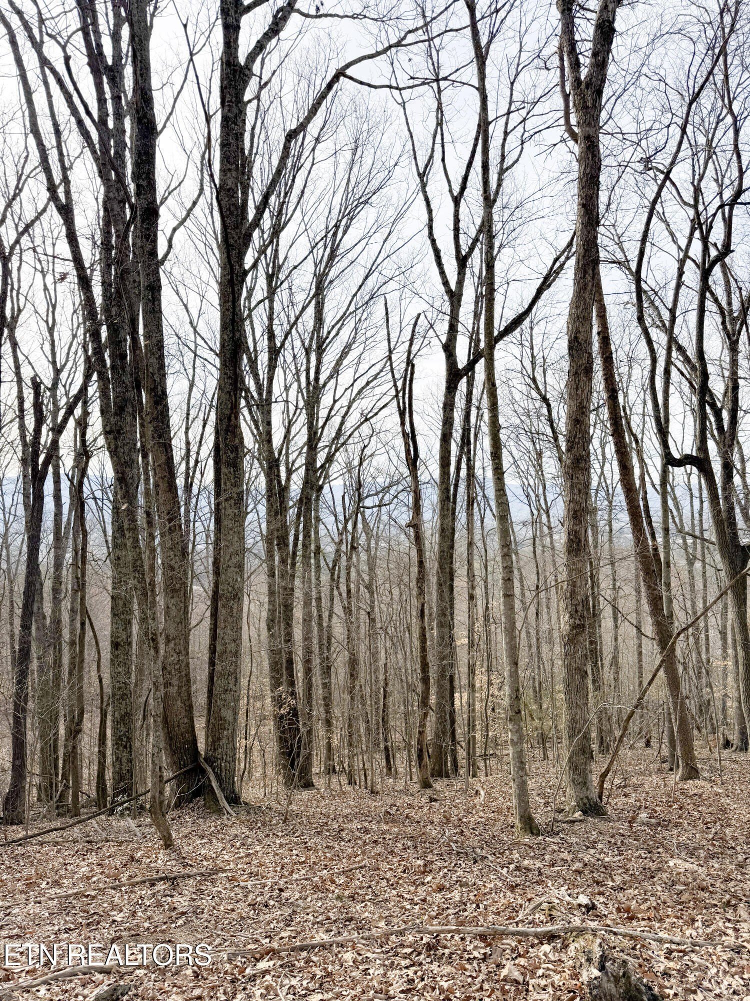 Pikeville, Tennessee, 37367, United States, ,Land,For Sale,1975616