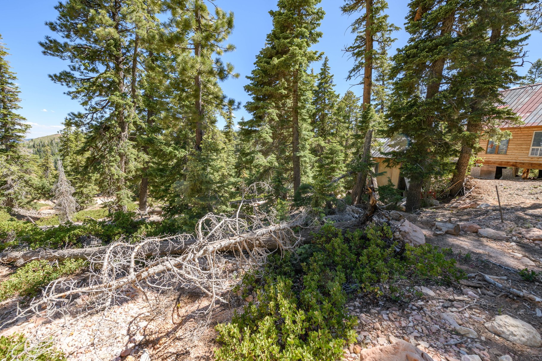  Quiet Mountain Retreat Near Navajo Lake - 物件實景