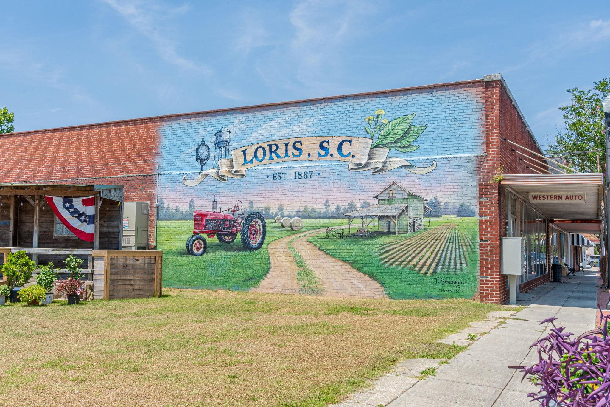 Loris, South Carolina, 29569, United States, 4 Bedrooms Bedrooms, ,3 BathroomsBathrooms,Residential,For Sale,2031917
