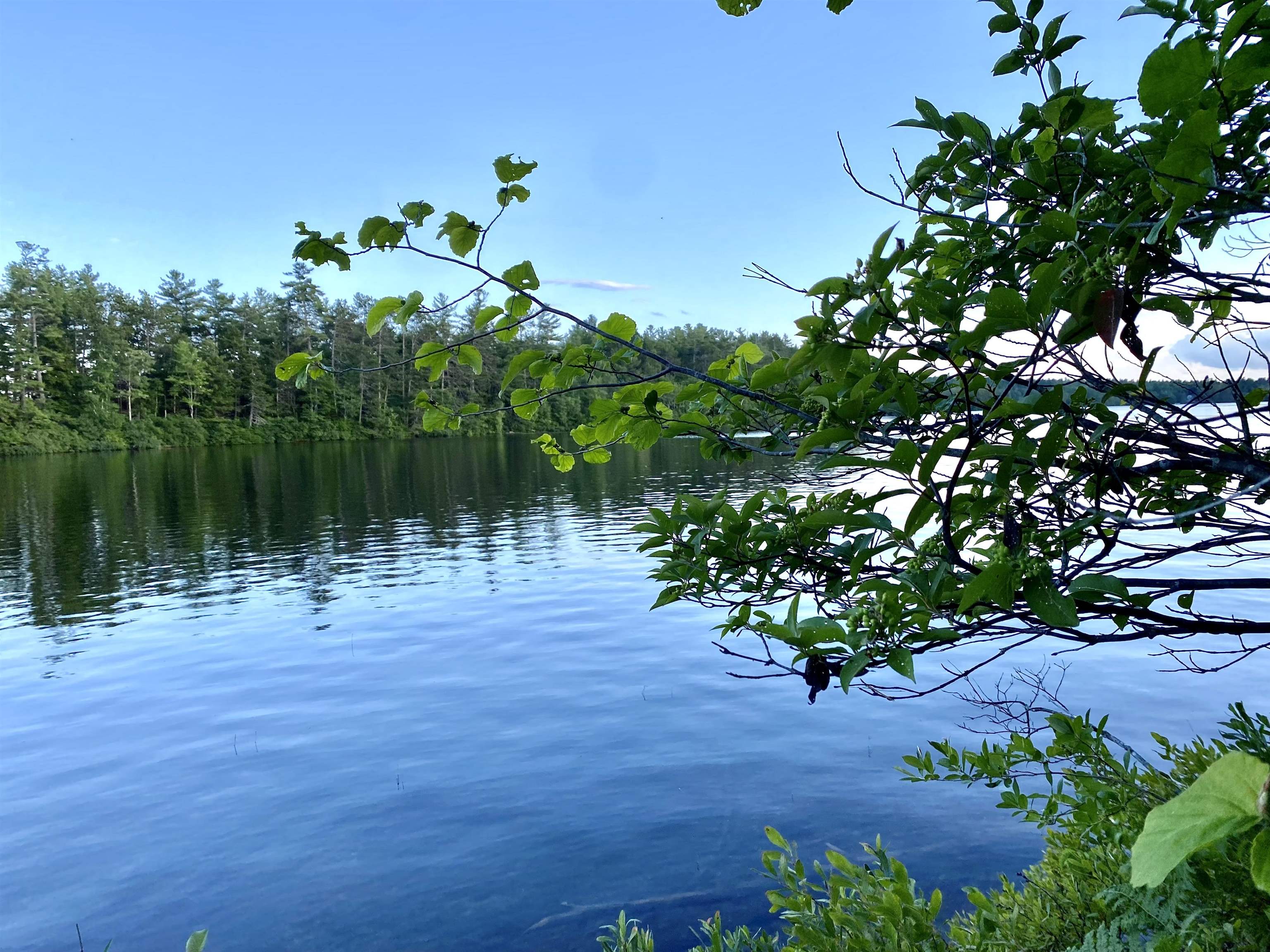 Springfield, New Hampshire, 03284, United States, ,Residential,For Sale,1941786