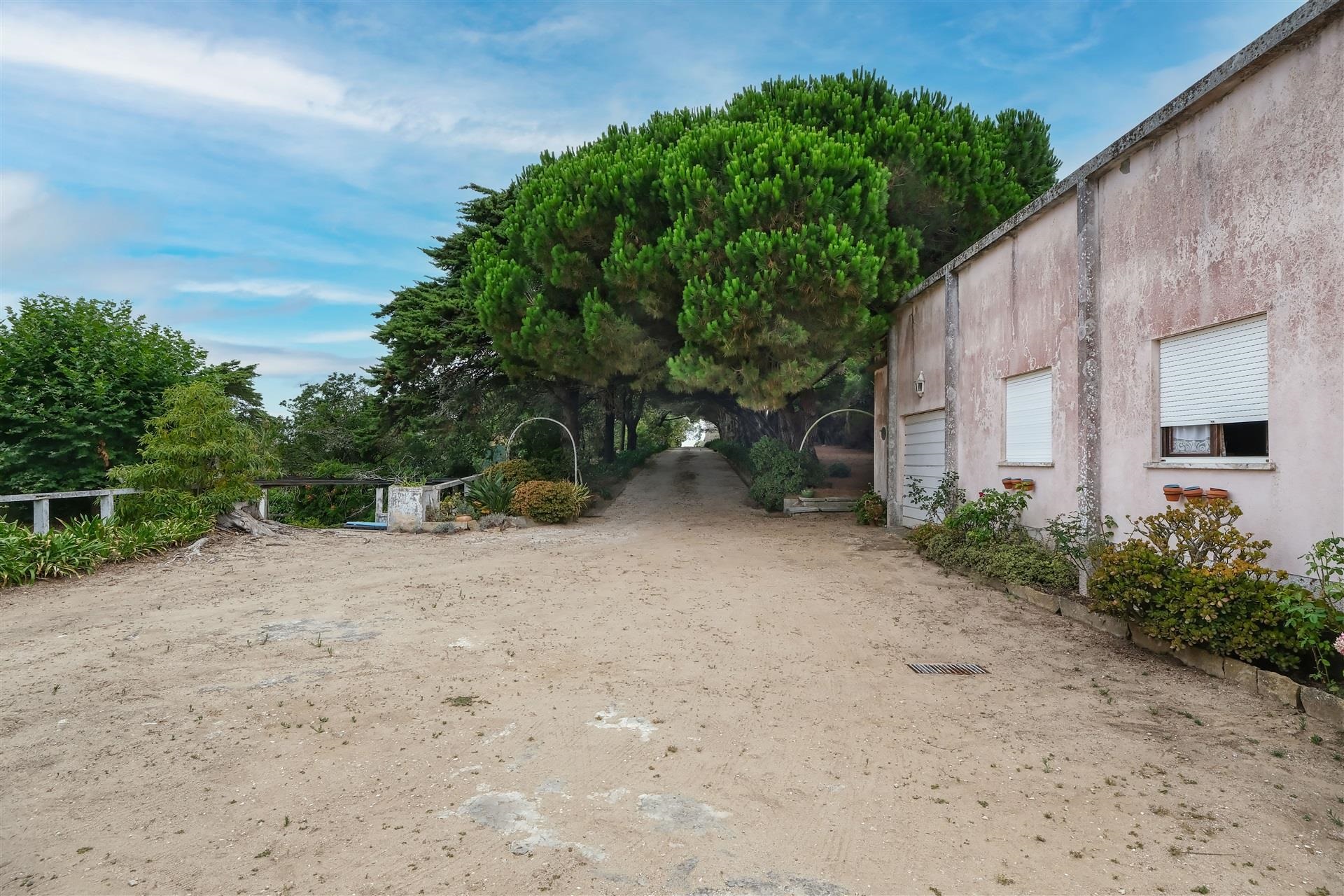  Terreno com ruina, 4 bedrooms, for Sale - 物件實景