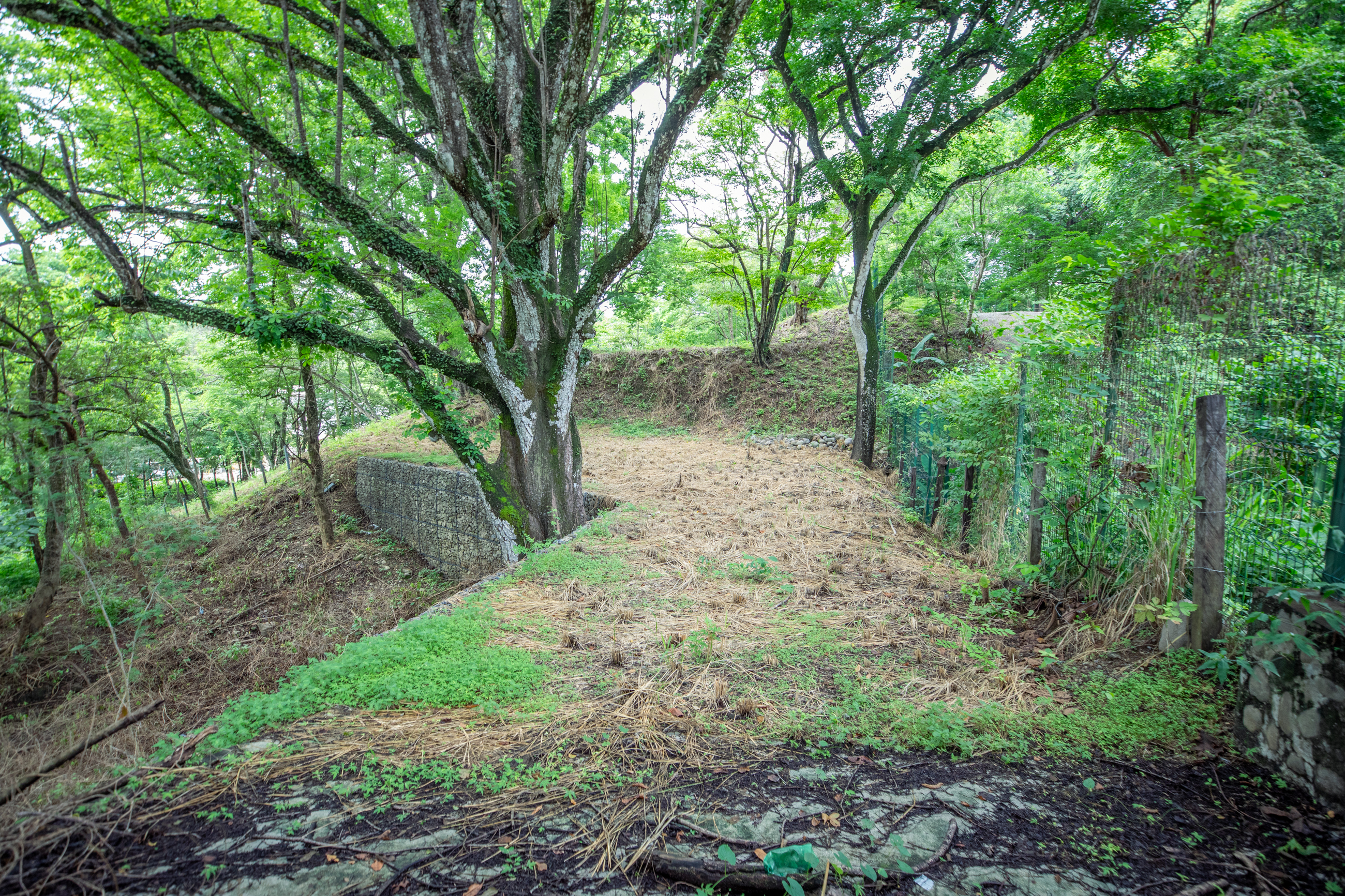 Nosara, Guanacaste, CR, ,Land,For Sale,1856985