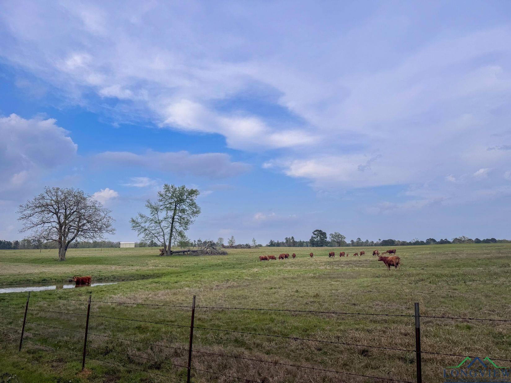 Atlanta, Texas, 75551, United States, ,Residential,For Sale,1810626