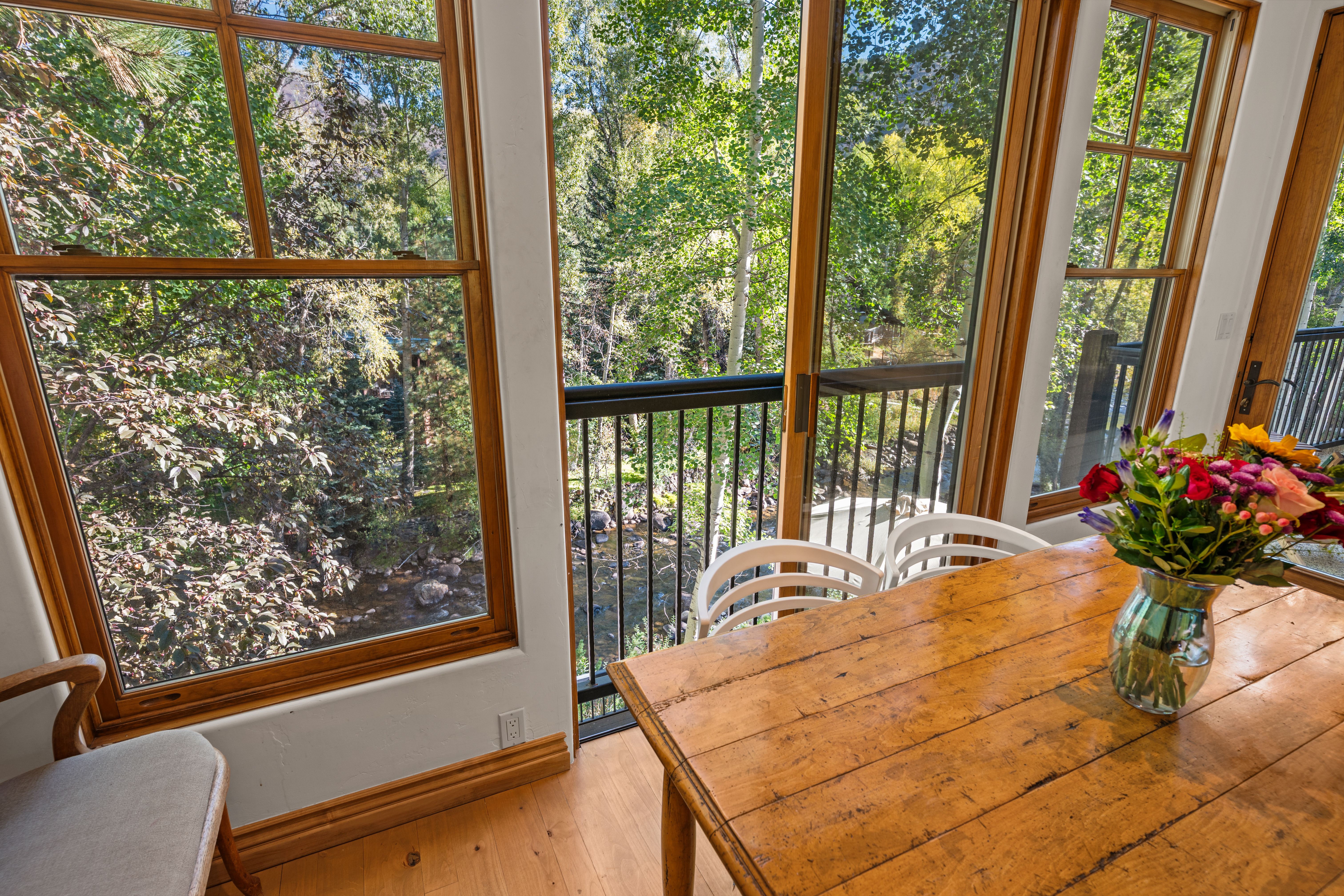  960 E Hopkins Avenue, Aspen, CO, 81611 - 物件實景