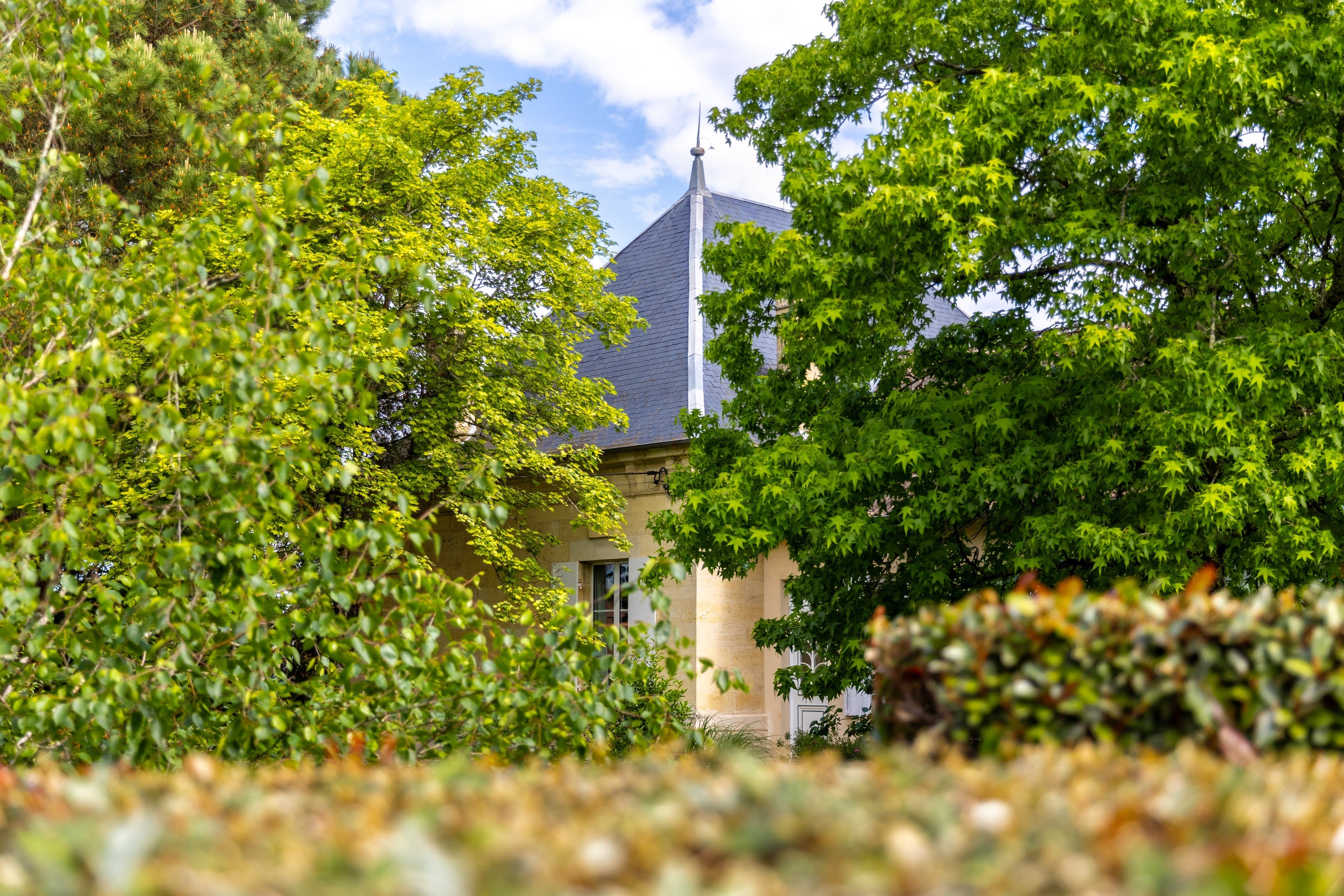  2.7 HECTARE VINEYARD IN THE HEART OF THE PRESTIGIOUS POMEROL APPELLATION - 物件實景