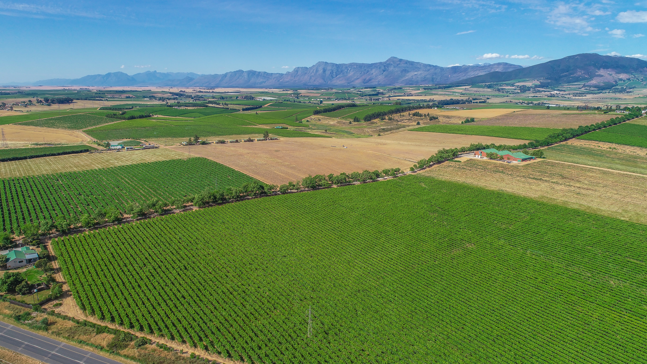  Wellington Export Farm - 物件實景