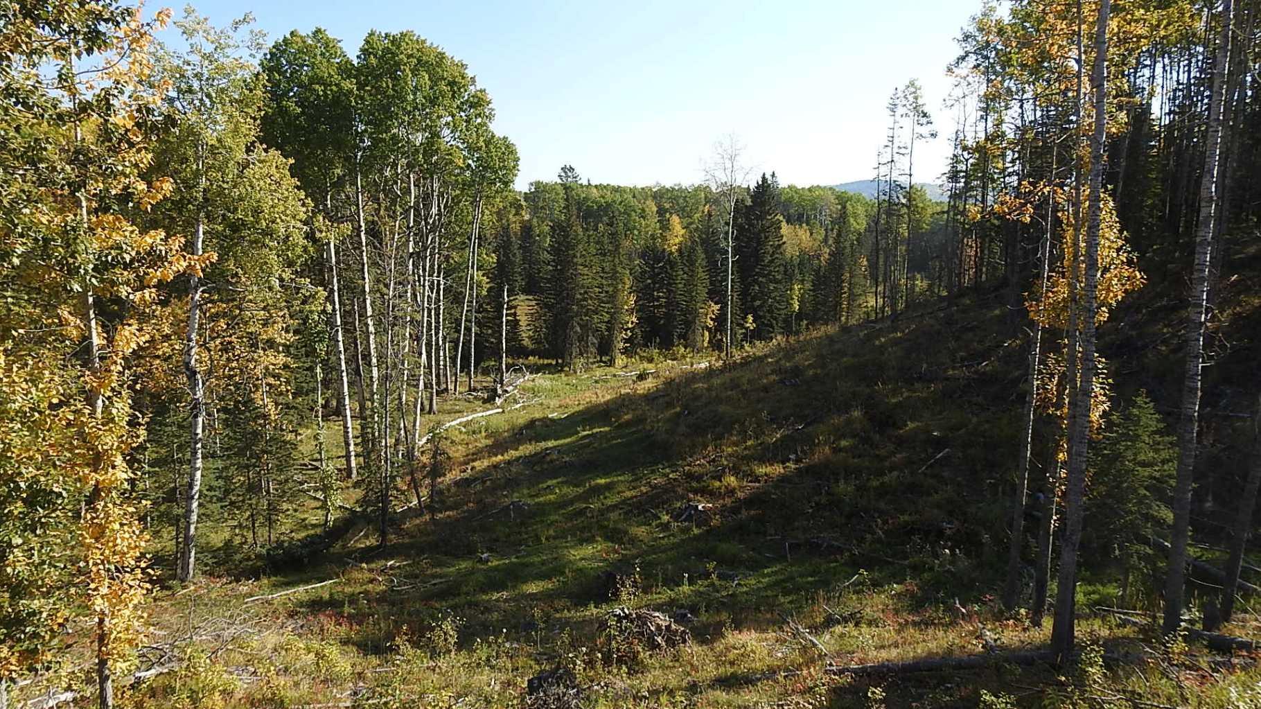 RURAL FOOTHILLS COUNTY, Alberta, T0L 1K0, CA, ,Residential,For Sale,1836944